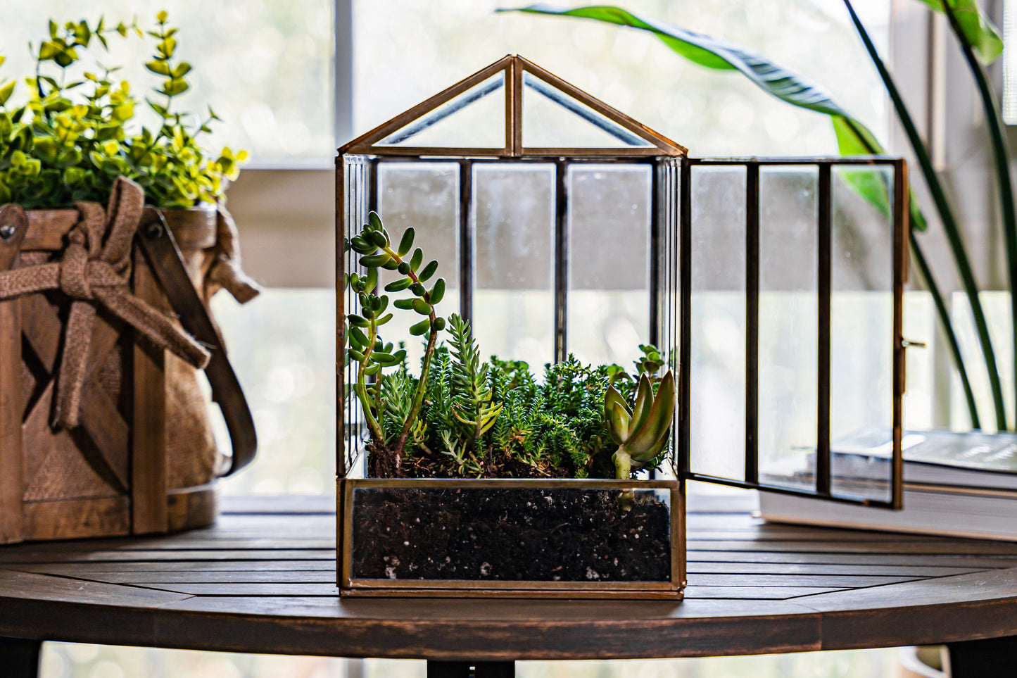 Urban Born Large Terrarium Greenhouse, Glass Metal, Indoor Display Case, Unique Gift Idea, Succulent Container, Orchid Planter, Home Decor.