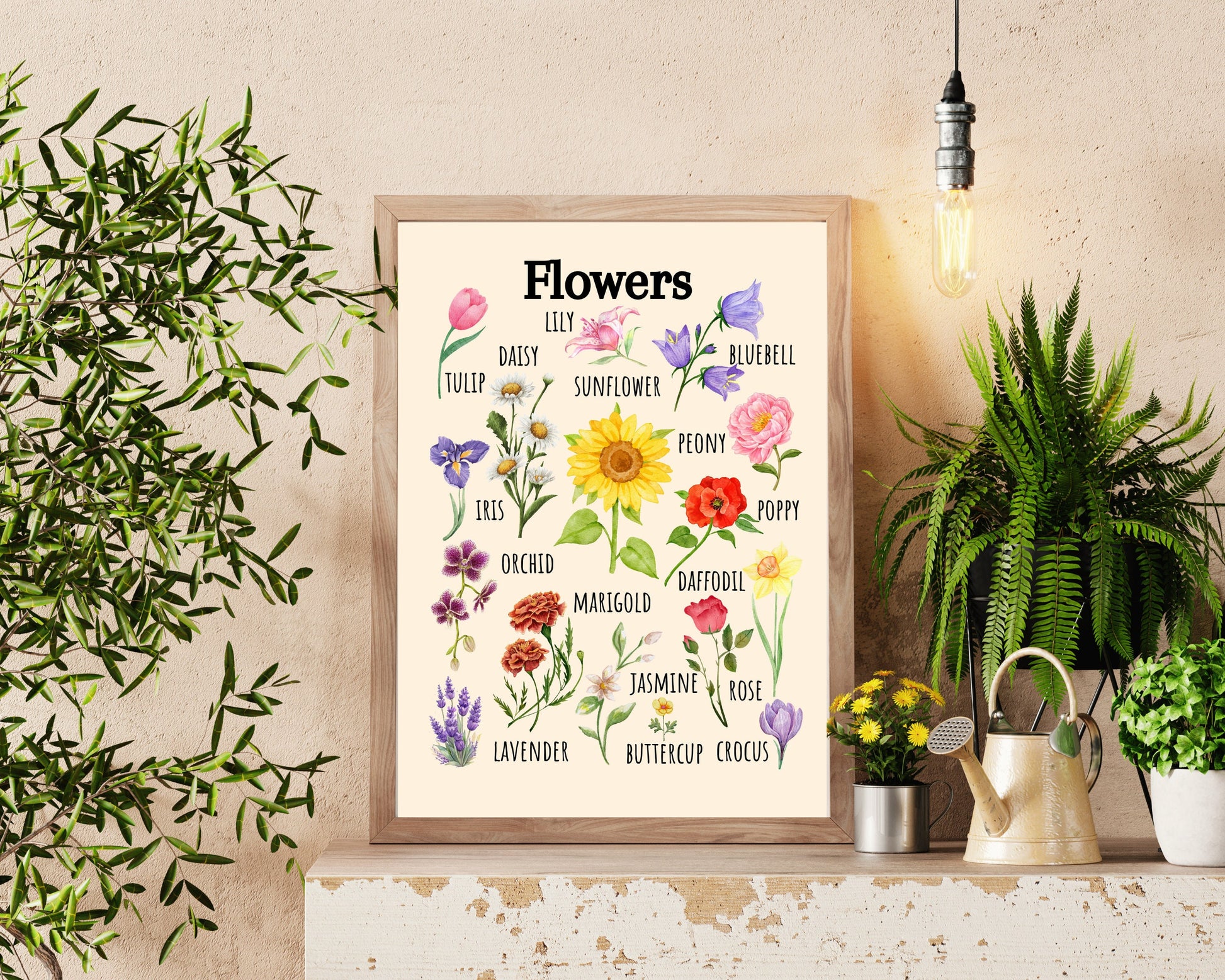 Insects Educational Poster, Flowers Poster, Printable Wall Art, Nature Learning Poster, Montessori, Homeschool, Classroom, Forest School