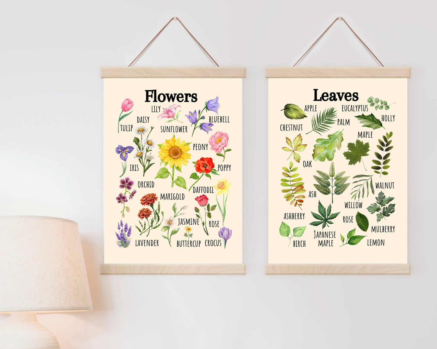 Insects Educational Poster, Flowers Poster, Printable Wall Art, Nature Learning Poster, Montessori, Homeschool, Classroom, Forest School