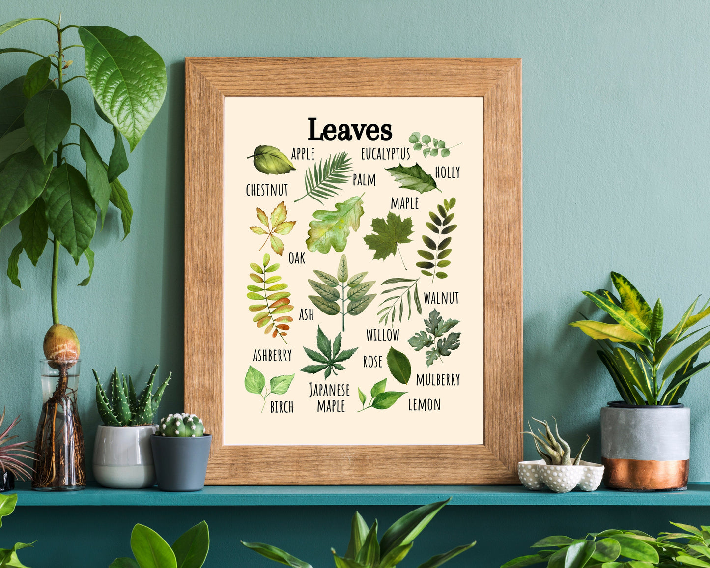 Insects Educational Poster, Flowers Poster, Printable Wall Art, Nature Learning Poster, Montessori, Homeschool, Classroom, Forest School