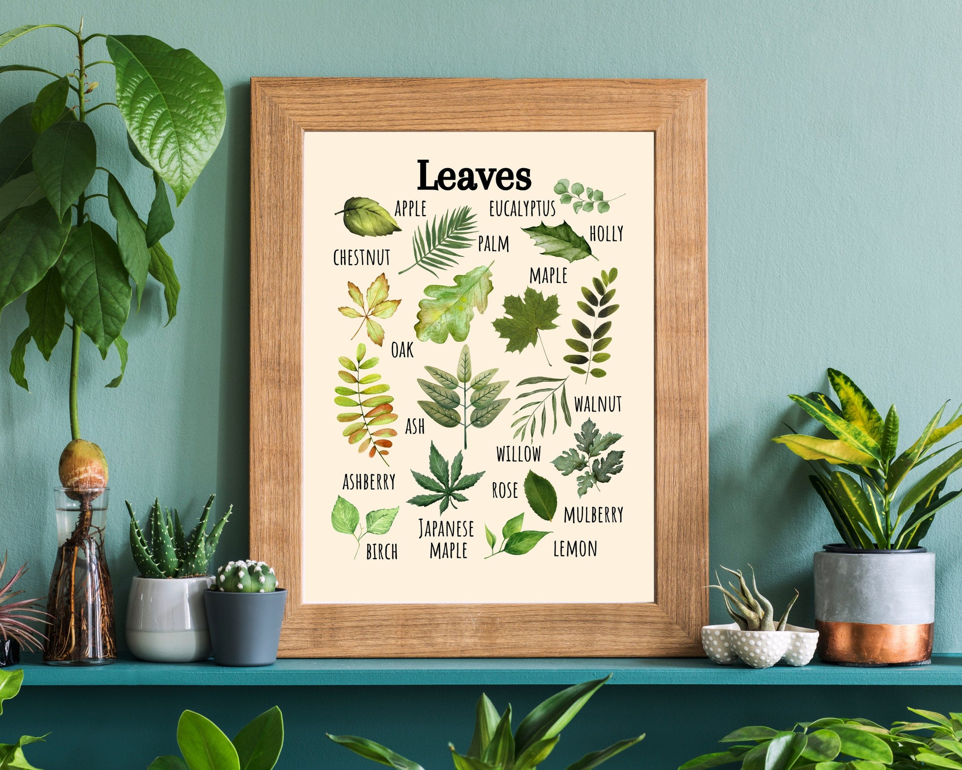Insects Educational Poster, Flowers Poster, Printable Wall Art, Nature Learning Poster, Montessori, Homeschool, Classroom, Forest School