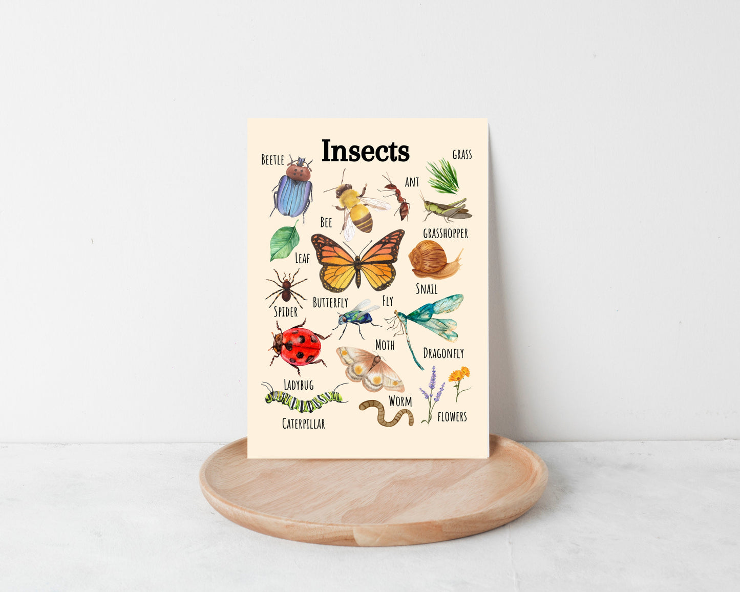 Insects Educational Poster, Flowers Poster, Printable Wall Art, Nature Learning Poster, Montessori, Homeschool, Classroom, Forest School