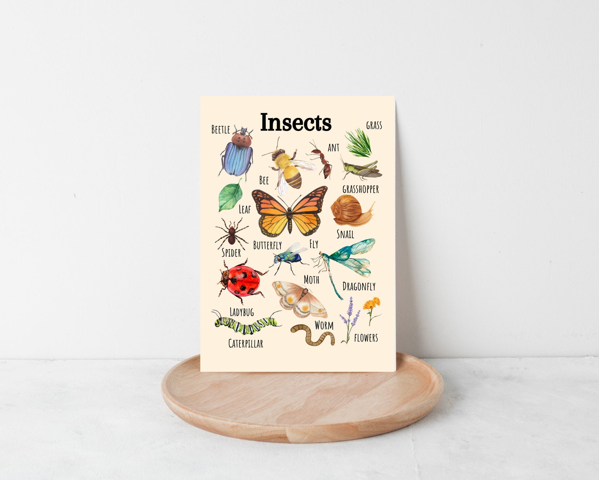 Insects Educational Poster, Flowers Poster, Printable Wall Art, Nature Learning Poster, Montessori, Homeschool, Classroom, Forest School