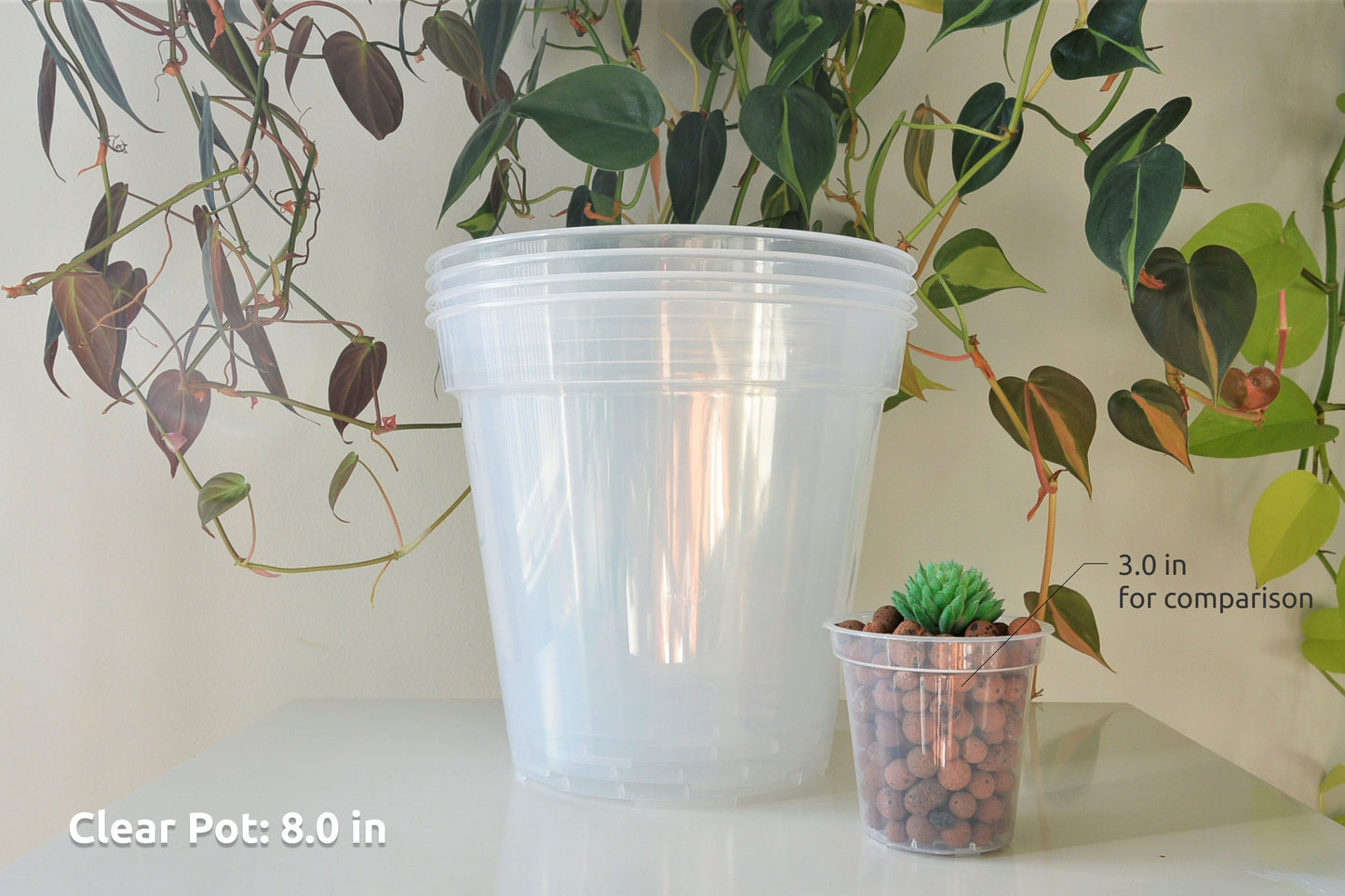 6", 7", 8", 9", 10", 12" Clear Nursery Pots Plastic Round Transparent Planter with Drainage for Indoor Plants Alocasia Hoya Monstera Philo
