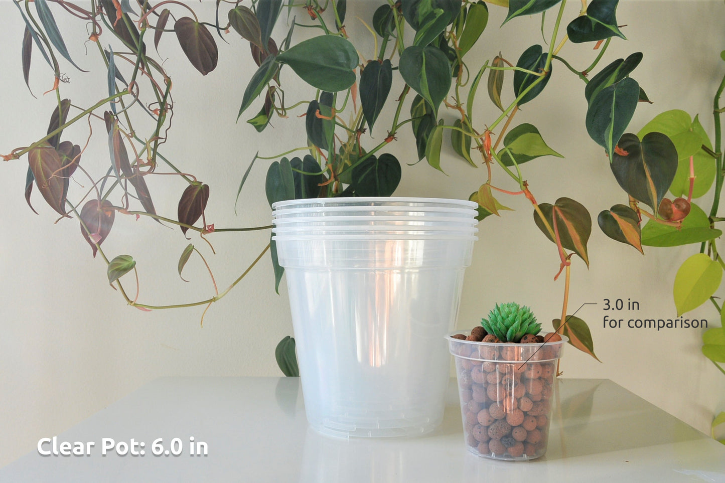 6", 7", 8", 9", 10", 12" Clear Nursery Pots Plastic Round Transparent Planter with Drainage for Indoor Plants Alocasia Hoya Monstera Philo