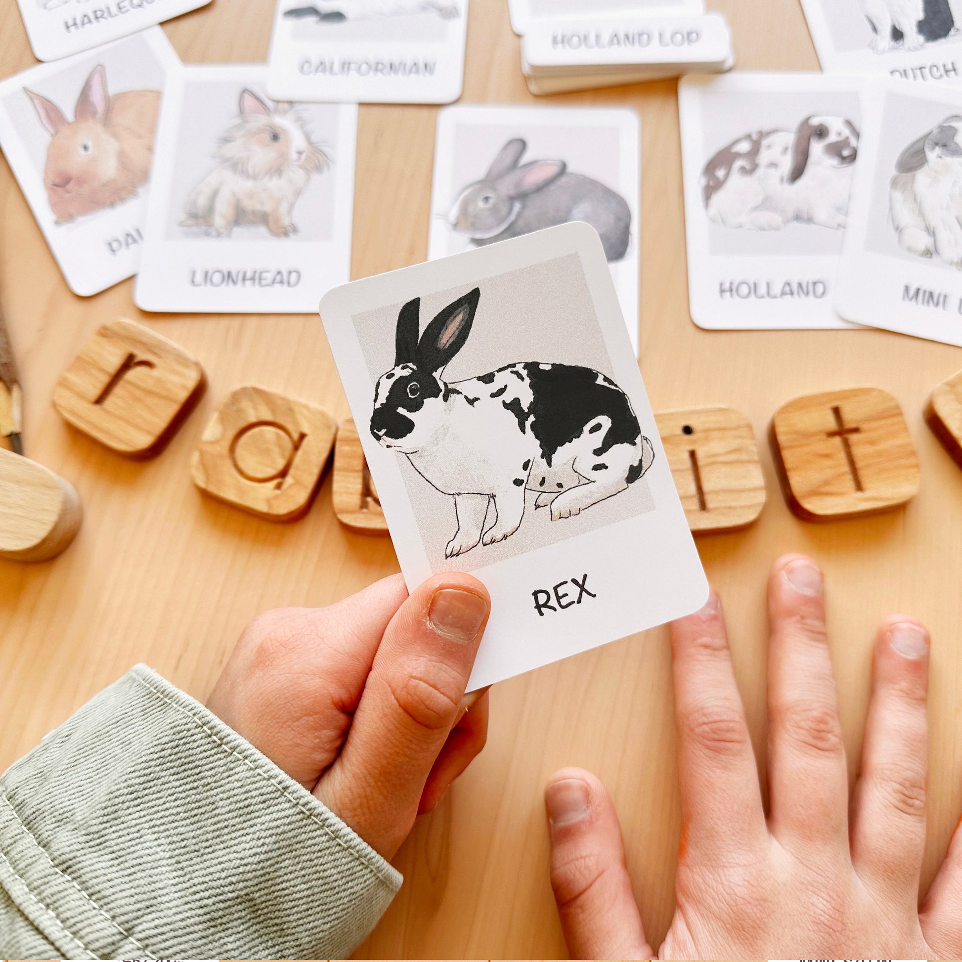 Rabbit Flash Cards Montessori Printable Homeschool Resources Nature Study Nomenclature Cards Toddler Flash Cards Preschool 3 Part Cards