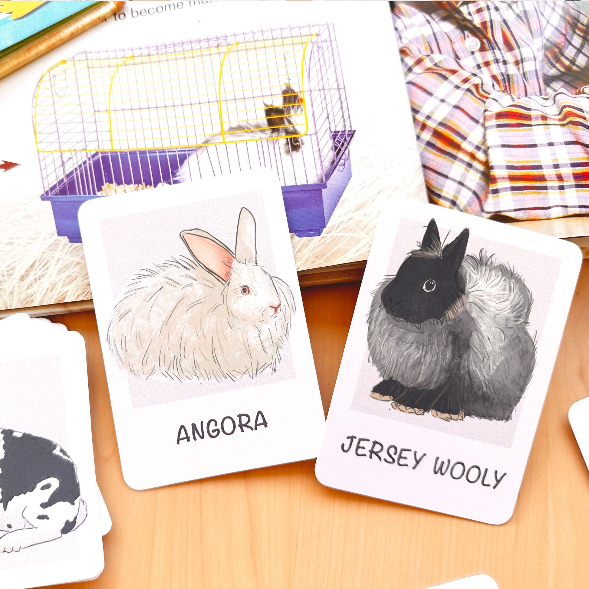 Rabbit Flash Cards Montessori Printable Homeschool Resources Nature Study Nomenclature Cards Toddler Flash Cards Preschool 3 Part Cards