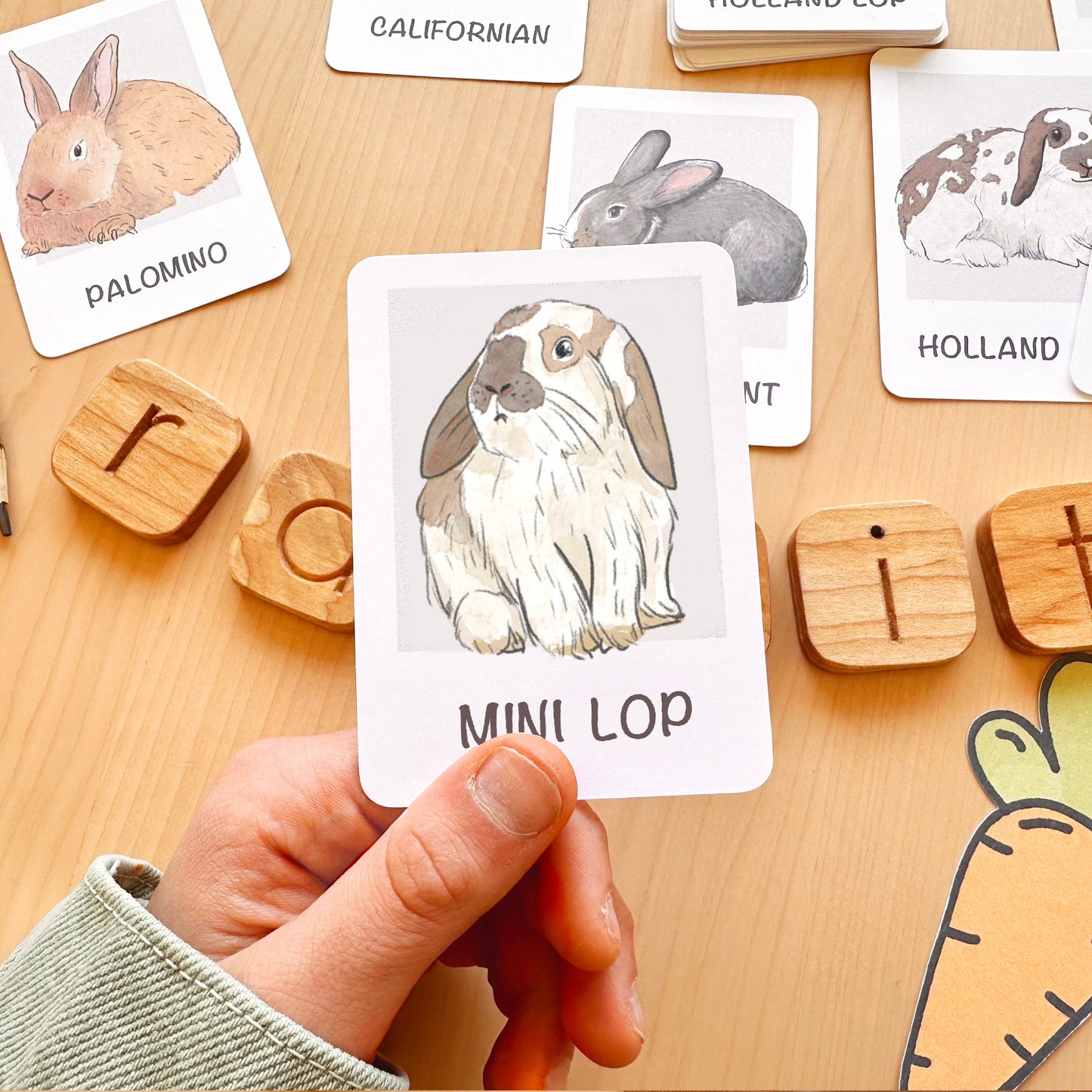 Rabbit Flash Cards Montessori Printable Homeschool Resources Nature Study Nomenclature Cards Toddler Flash Cards Preschool 3 Part Cards