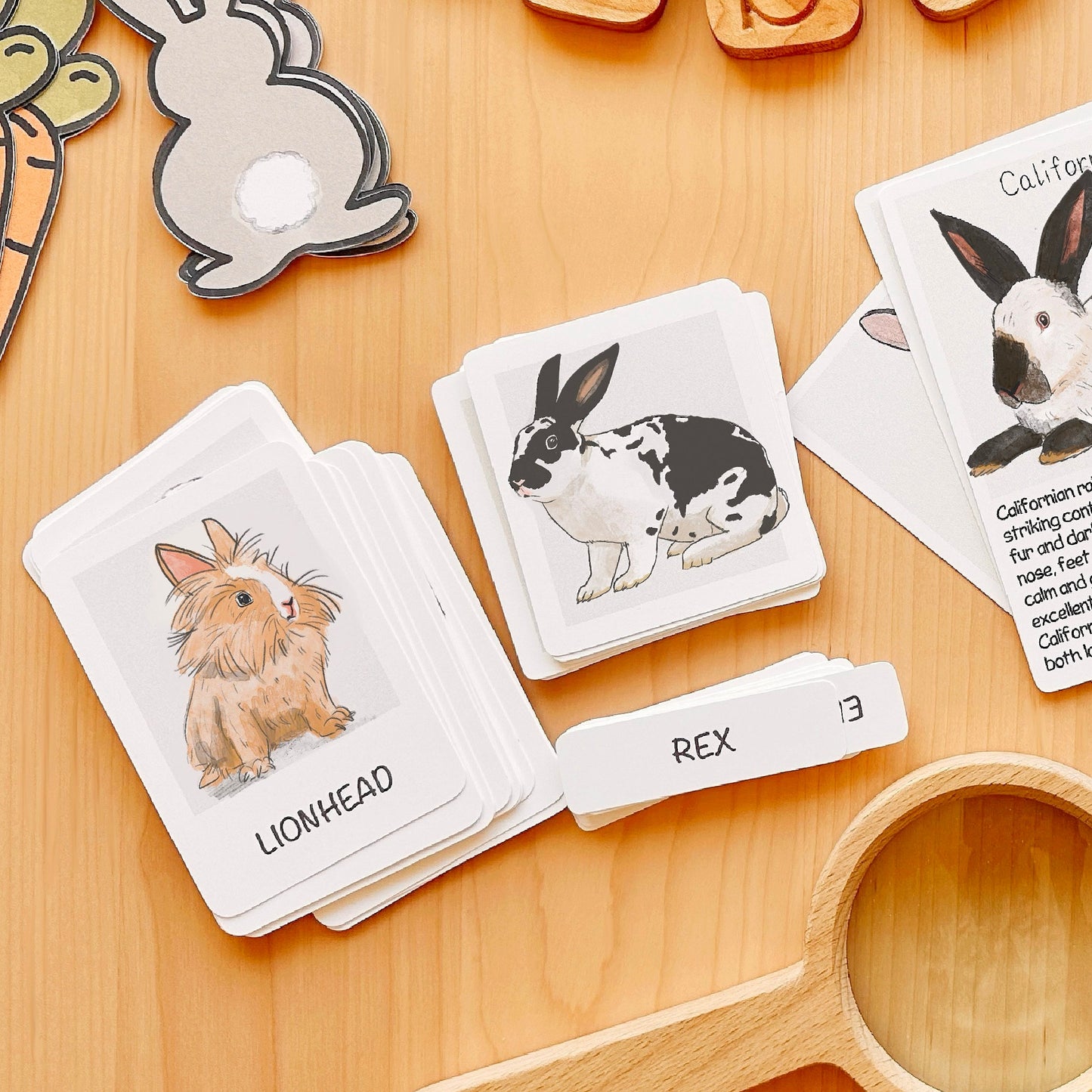 Rabbit Flash Cards Montessori Printable Homeschool Resources Nature Study Nomenclature Cards Toddler Flash Cards Preschool 3 Part Cards