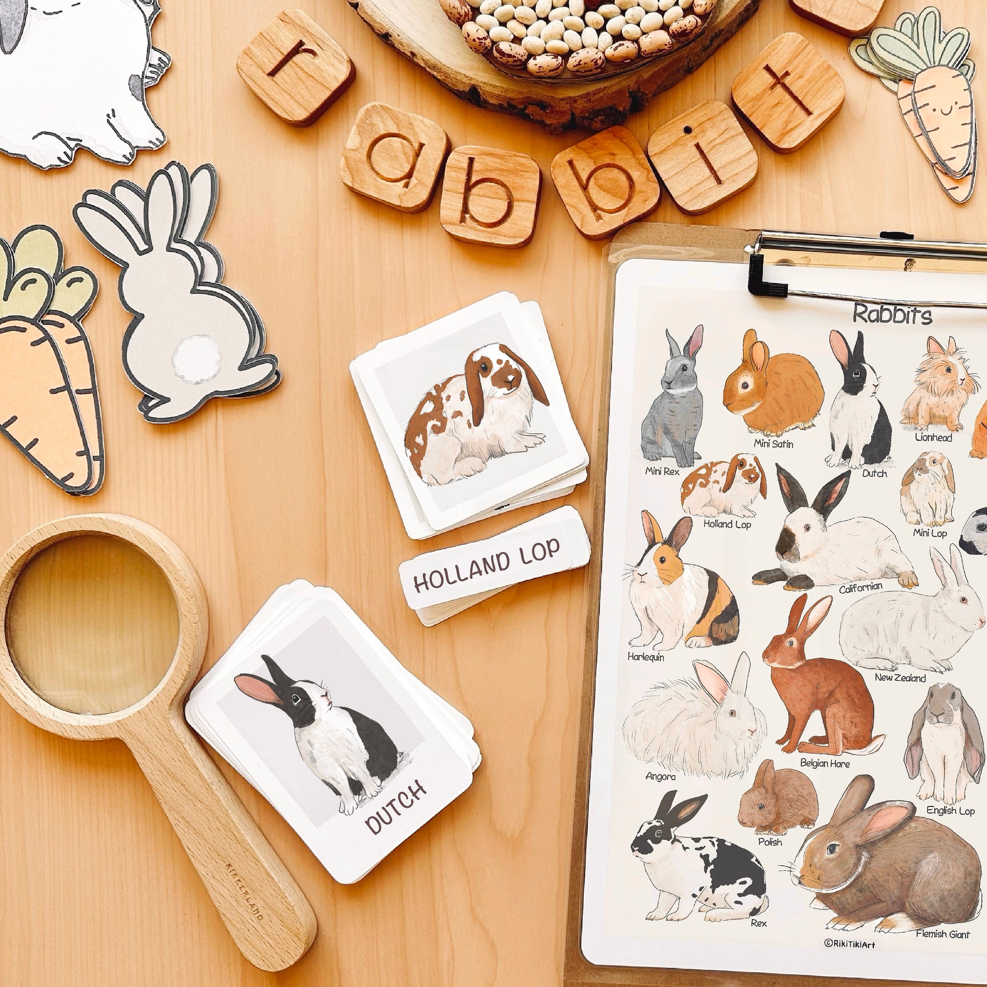 Rabbit Flash Cards Montessori Printable Homeschool Resources Nature Study Nomenclature Cards Toddler Flash Cards Preschool 3 Part Cards