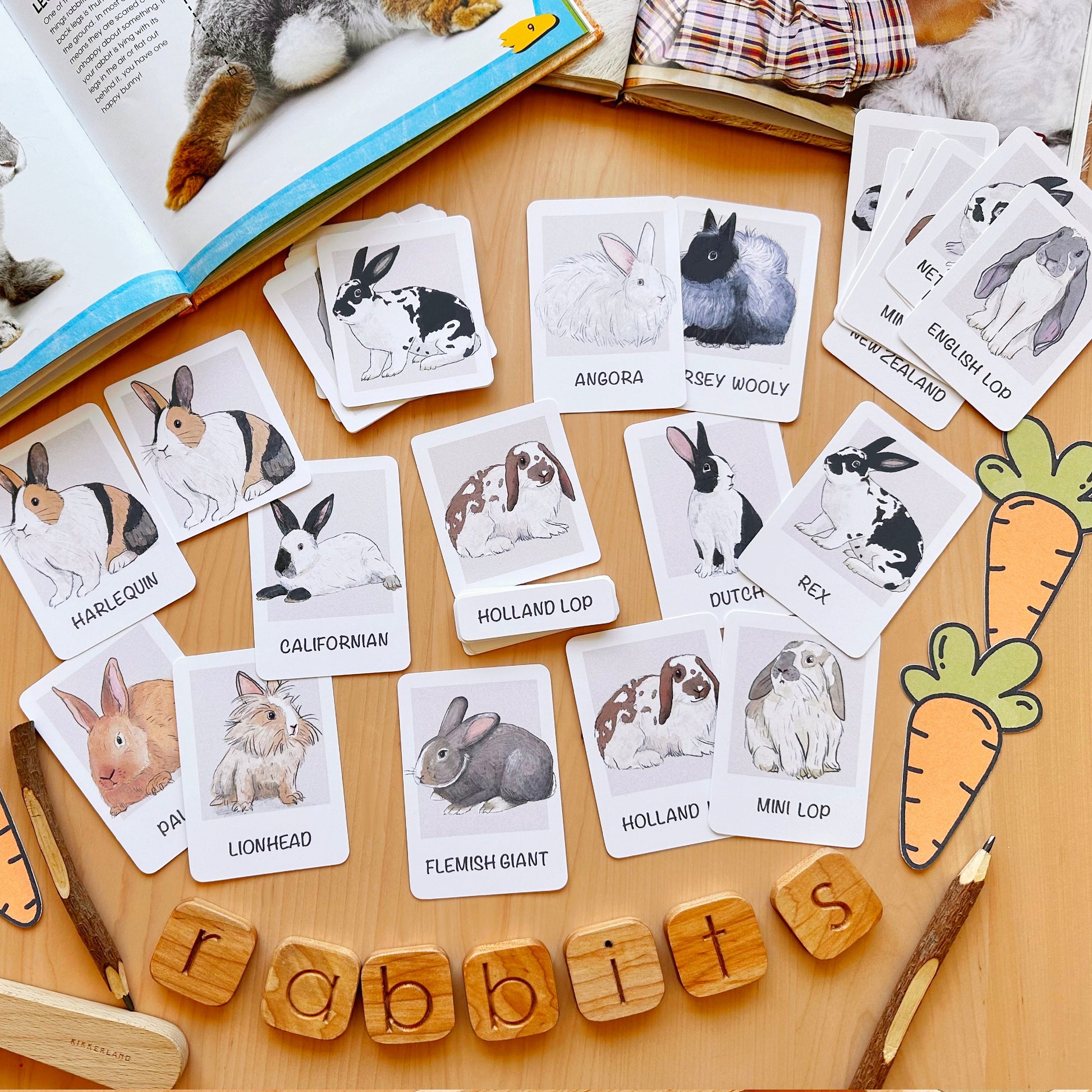 Rabbit Flash Cards Montessori Printable Homeschool Resources Nature Study Nomenclature Cards Toddler Flash Cards Preschool 3 Part Cards
