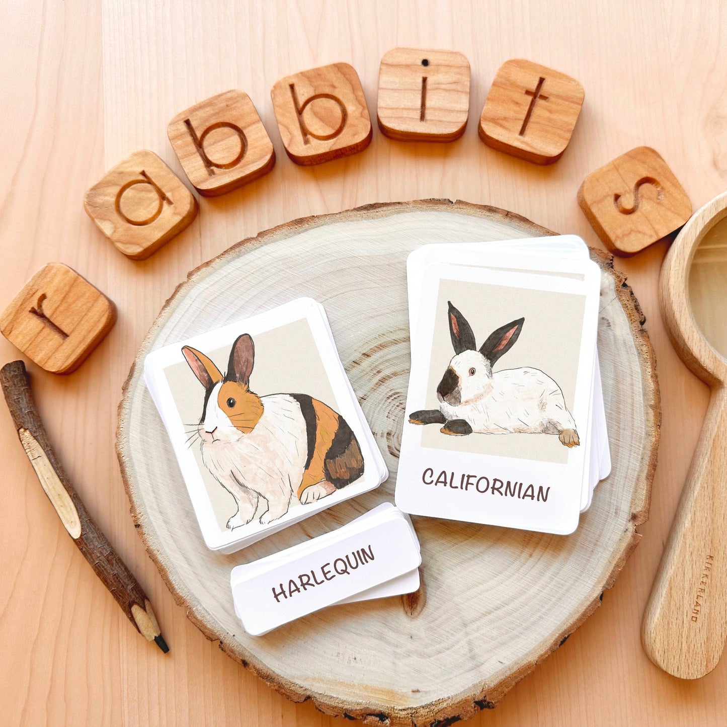 Rabbit Flash Cards Montessori Printable Homeschool Resources Nature Study Nomenclature Cards Toddler Flash Cards Preschool 3 Part Cards