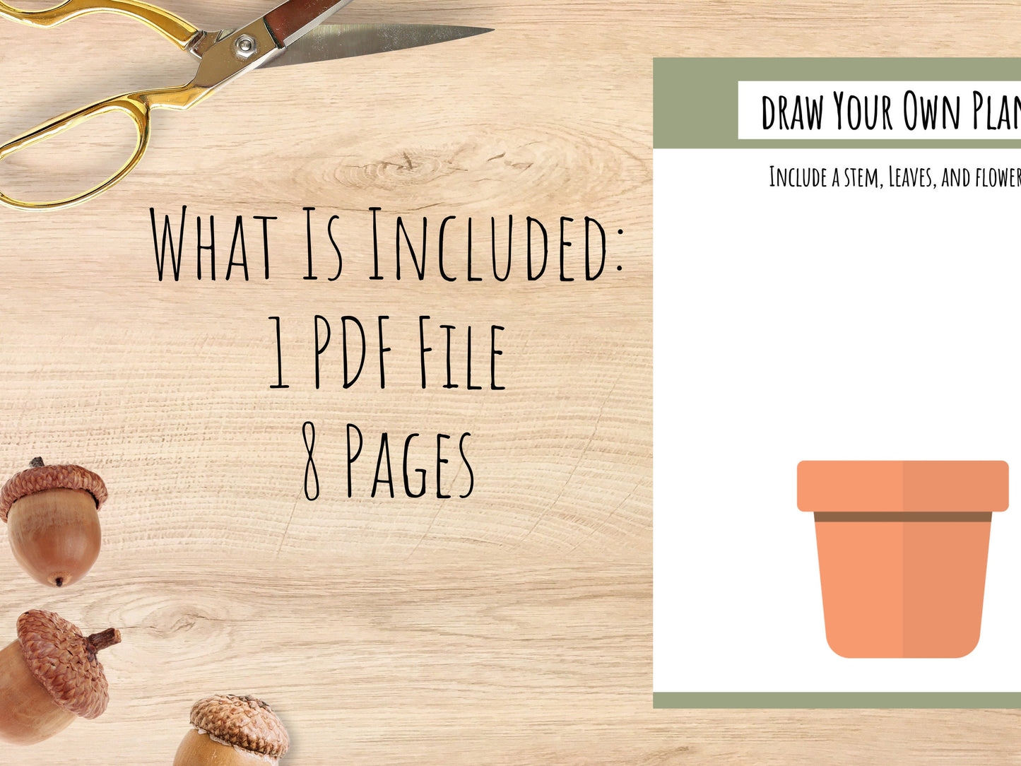 Plant Unit Study, Toddlers and Preschool Science, Learn About Plants, Plant Printable Activity, Plant Life Cycle, Parts of a plant, botany