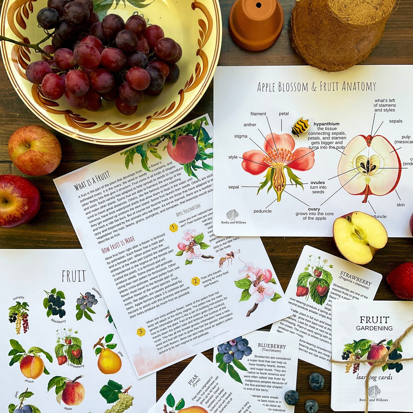 Homestead Gardens Unit Study - Curious Trails | Plant Study | Homeschool Curriculum