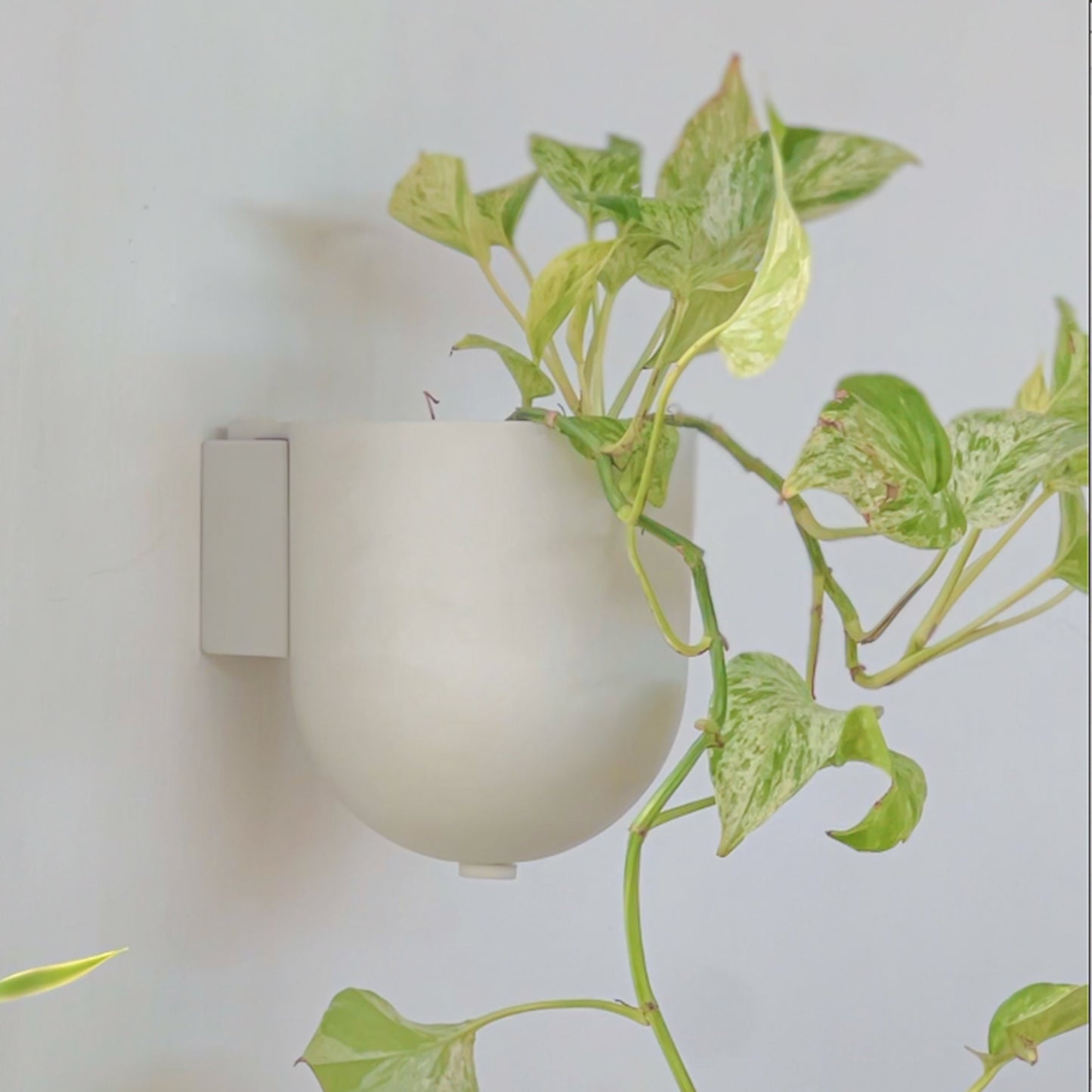 5.5" Wall Mounted Planter Pot | Mid-Century Wall Planter | Minimalist Indoor Wall Planter | Hanging Planter Pots | Upcycled Wall Planter Pot
