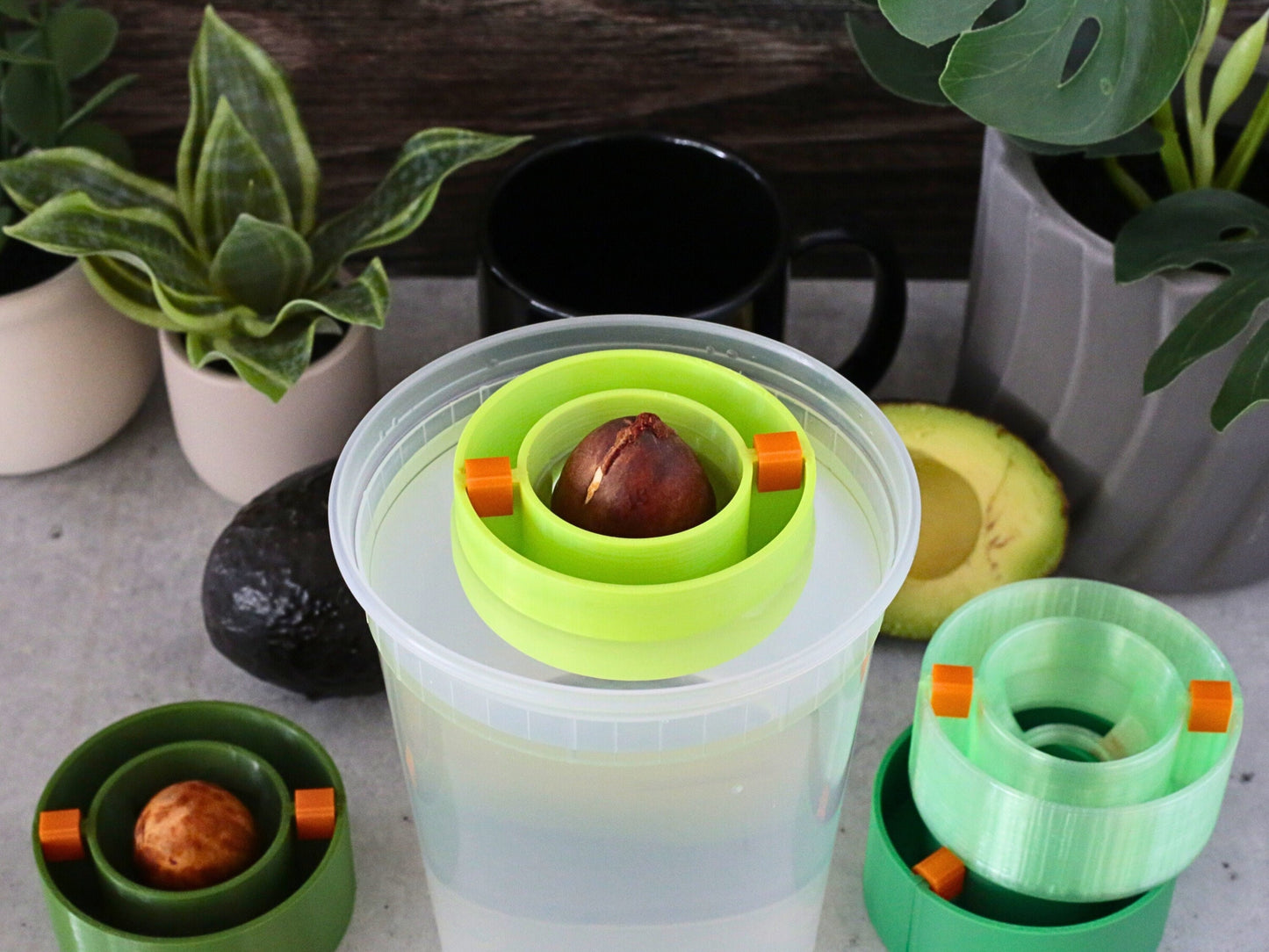 Floating Avocado Seed Grower | 2 Piece 3D Print Avocado Boat | Propagation Germination | Kitchen Hydroponics | Kratky | Indoor Gardening