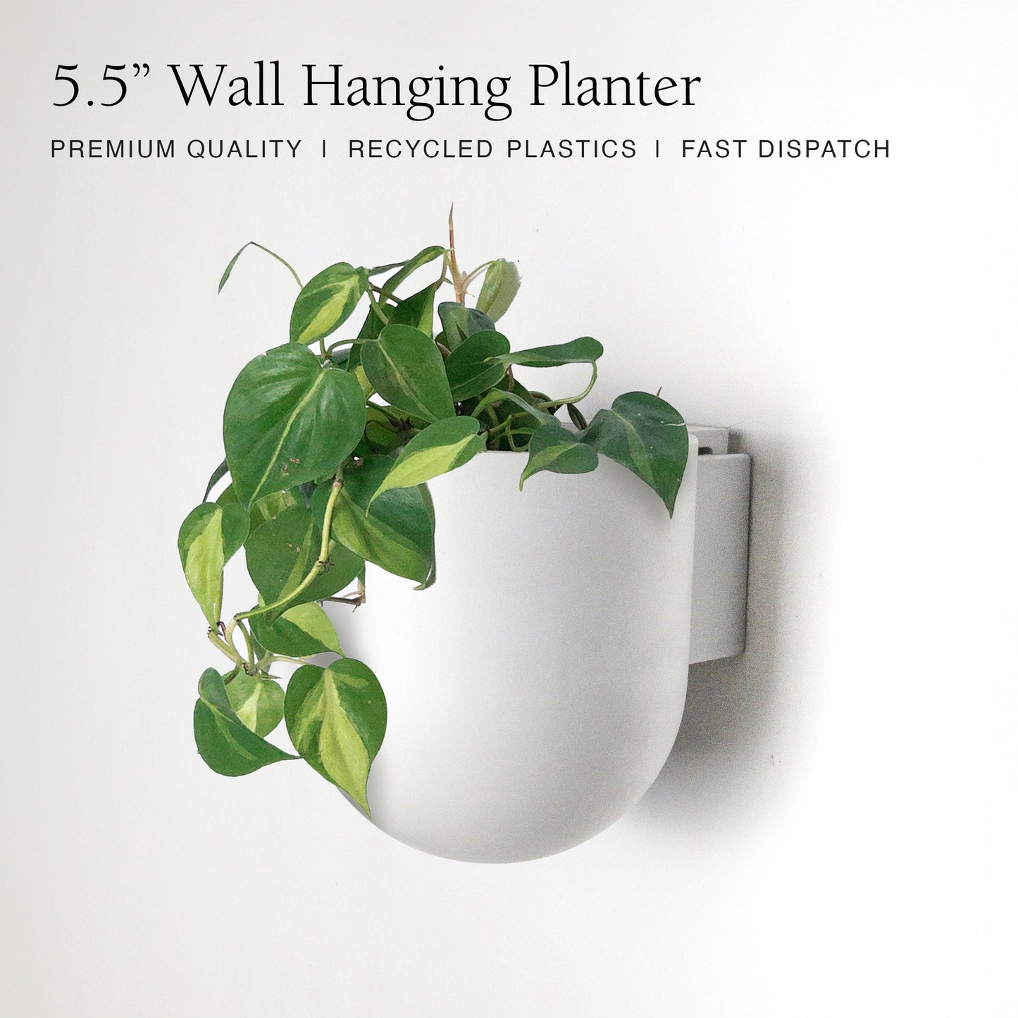 5.5" Wall Mounted Planter Pot | Mid-Century Wall Planter | Minimalist Indoor Wall Planter | Hanging Planter Pots | Upcycled Wall Planter Pot