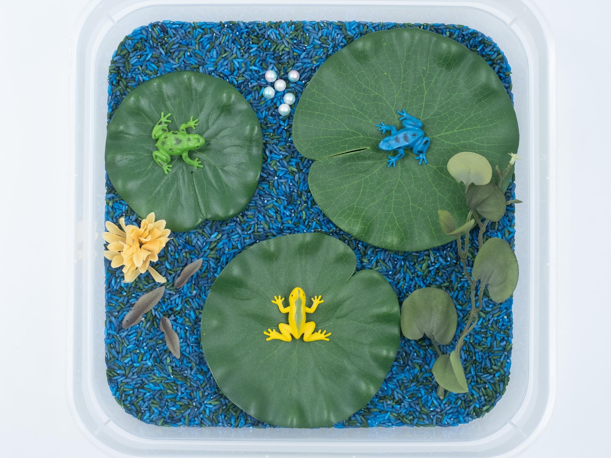 Frog Pond Sensory Bin: ABC Learning Toy