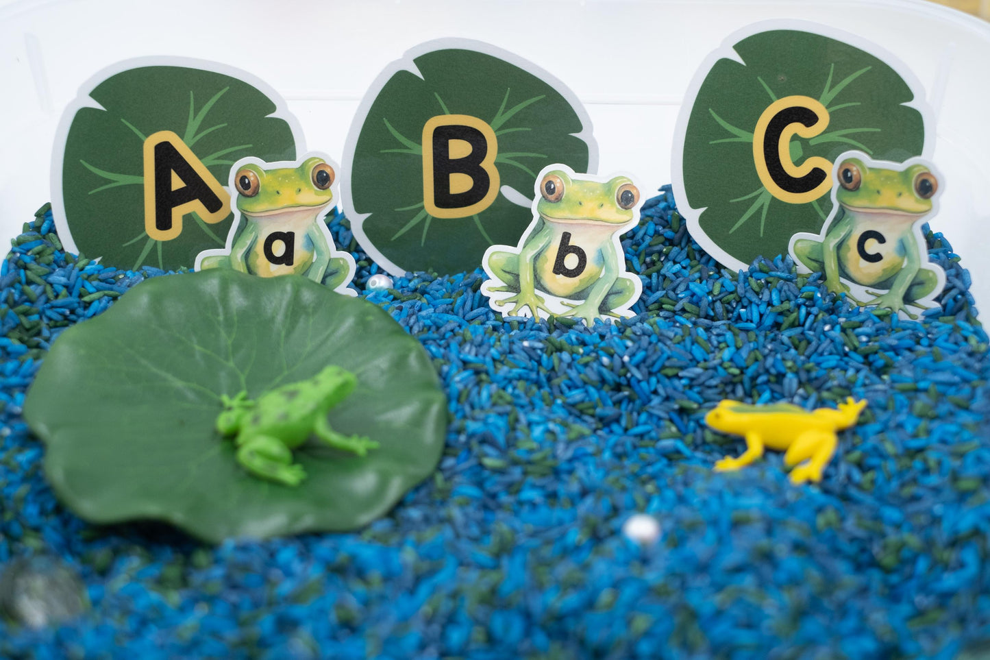 Frog Pond Sensory Bin: ABC Learning Toy