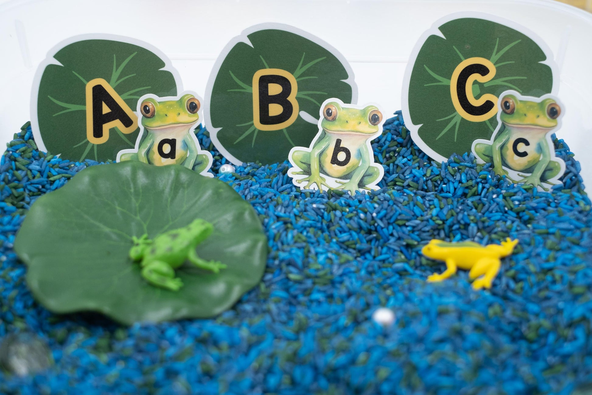 Frog Pond Sensory Bin: ABC Learning Toy