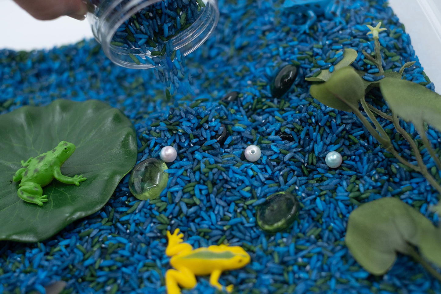 Frog Pond Sensory Bin: ABC Learning Toy