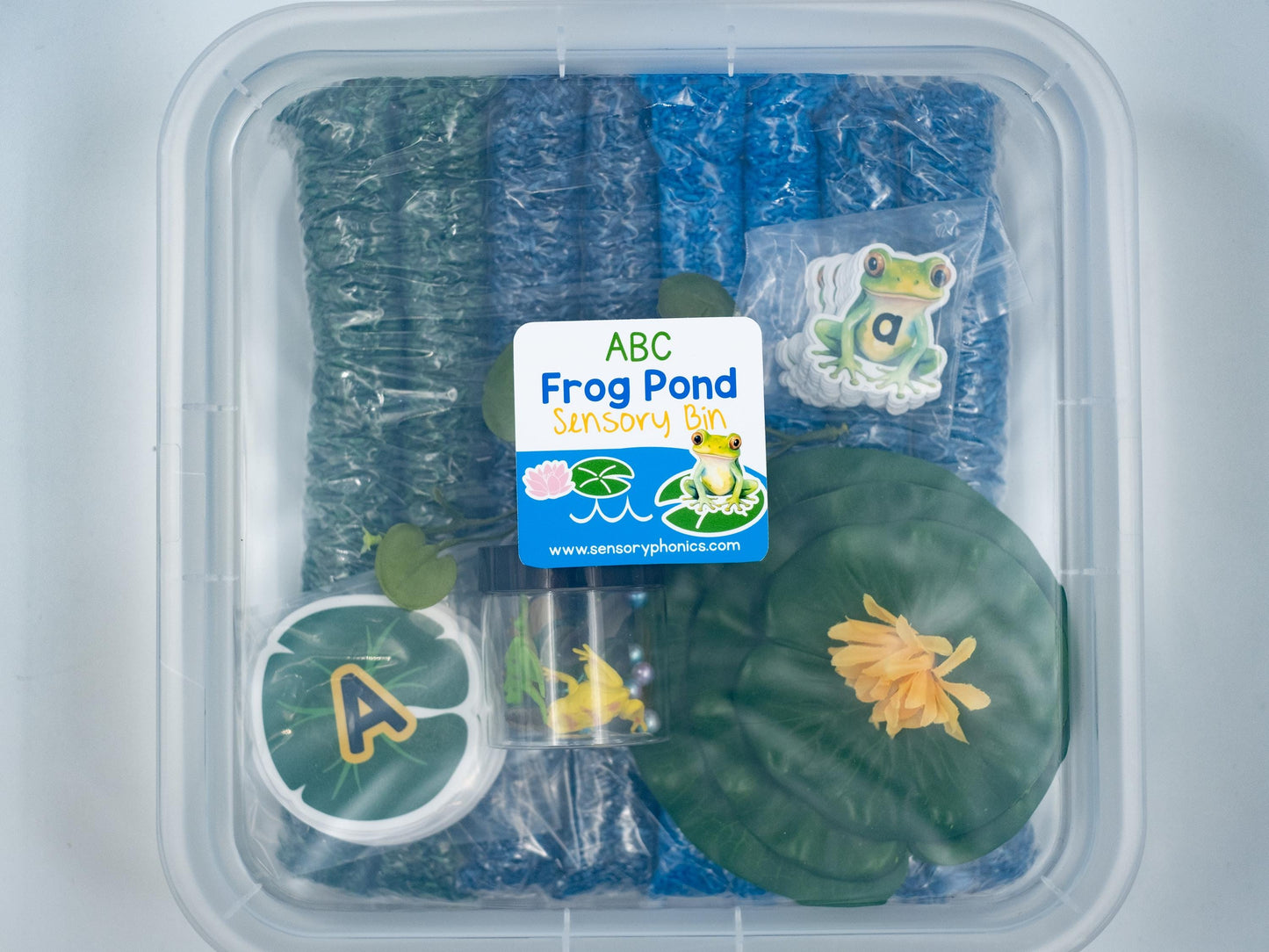 Frog Pond Sensory Bin: ABC Learning Toy