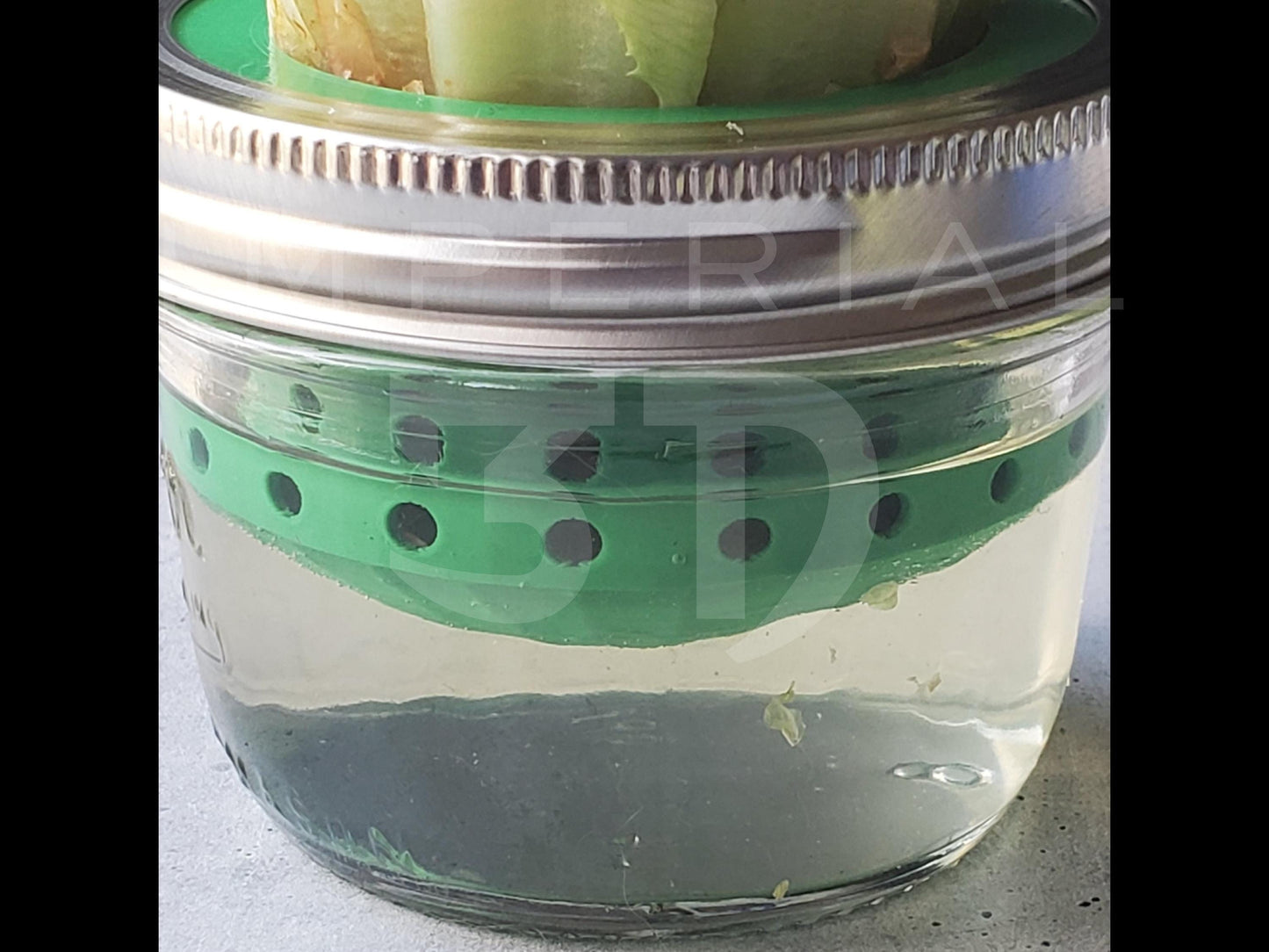 Lettuce and Celery Kitchen Re-Grow Farm | 3D Print for Wide Mouth Mason Jars | Hydroponics Net Pot | Kratky | Indoor Gardening