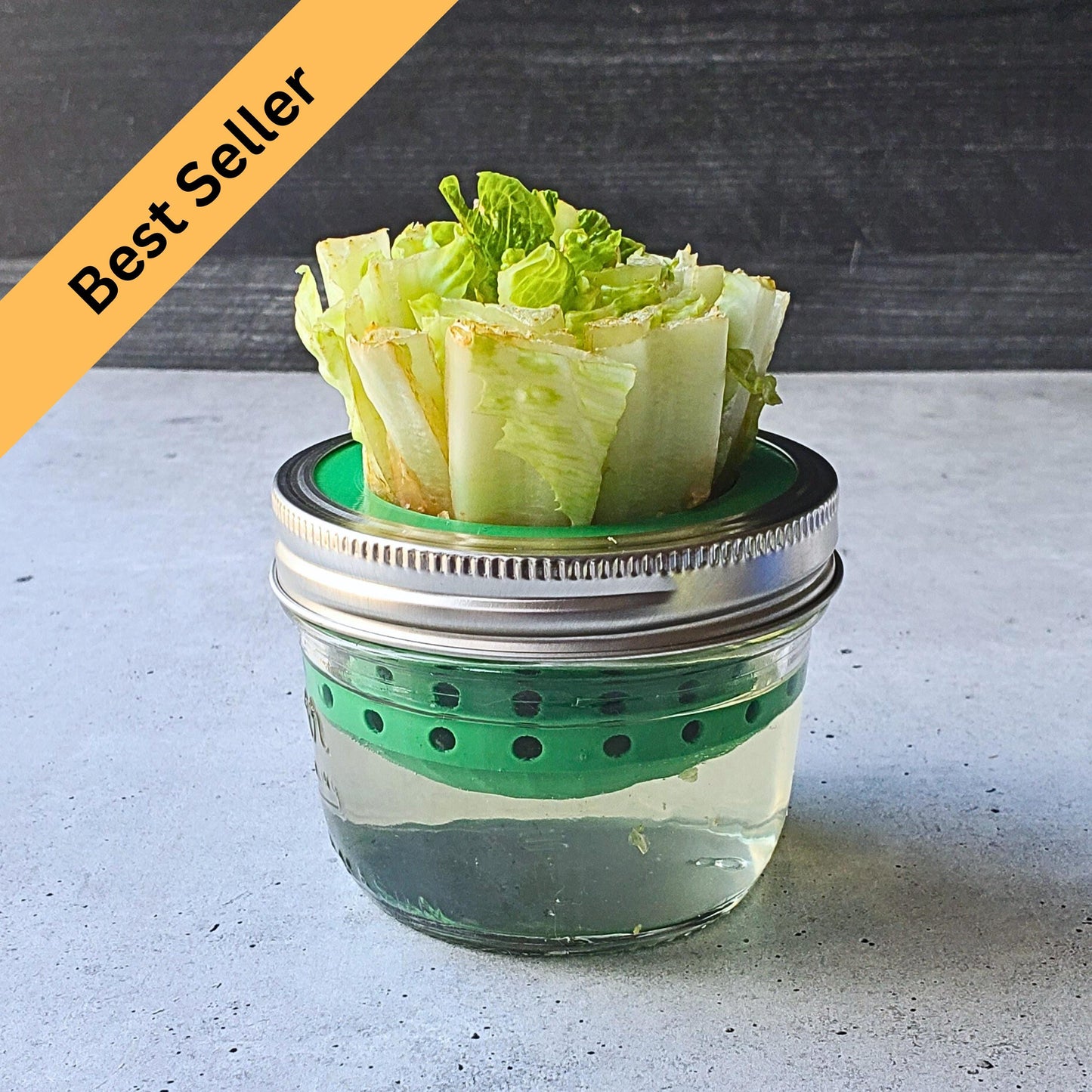 Lettuce and Celery Kitchen Re-Grow Farm | 3D Print for Wide Mouth Mason Jars | Hydroponics Net Pot | Kratky | Indoor Gardening