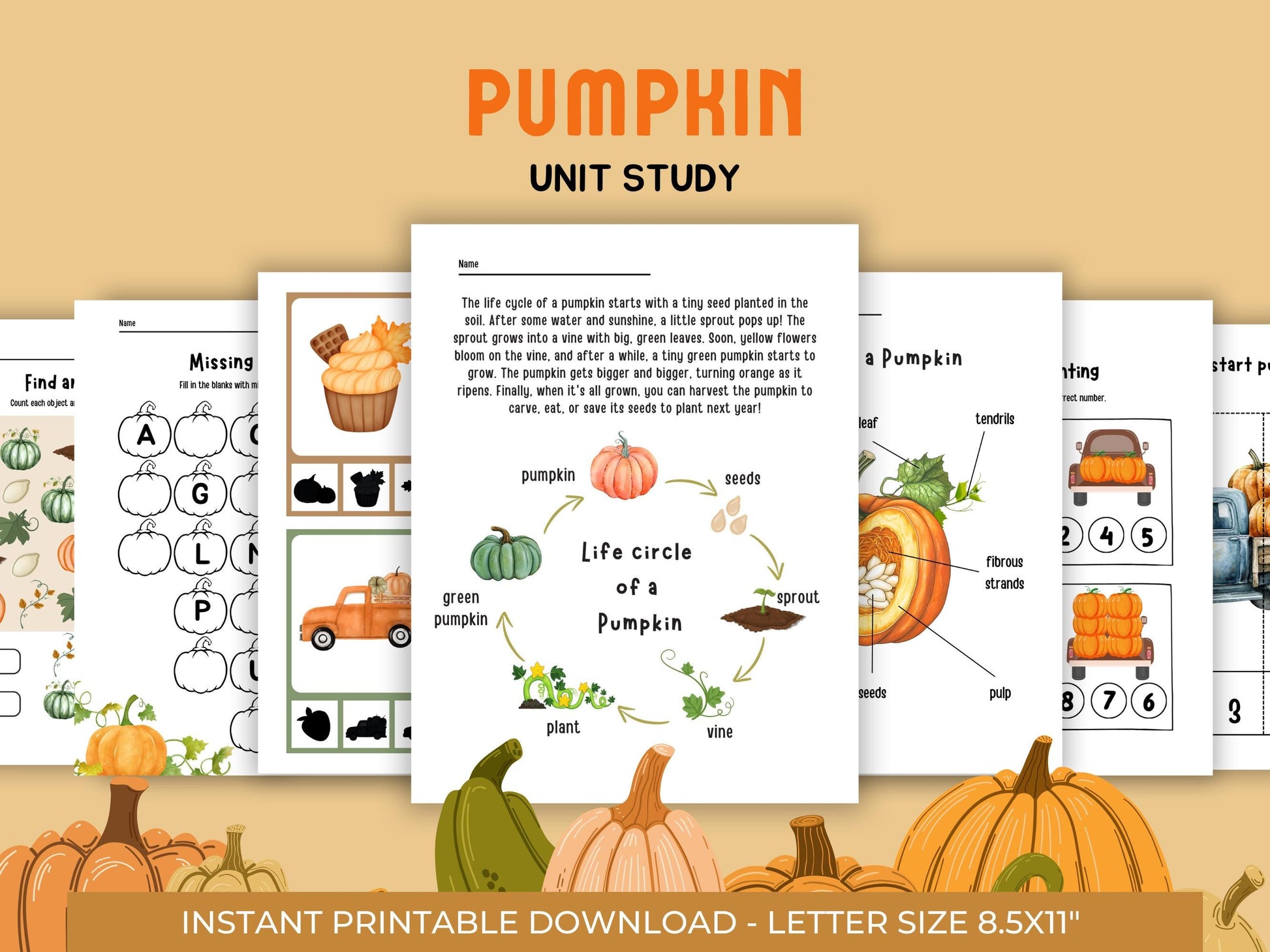 Pumpkin Unit Study, Educational Activities for Preschool, Science, Life Cycle, Anatomy, Homeschool, Montessori,Fall worksheet