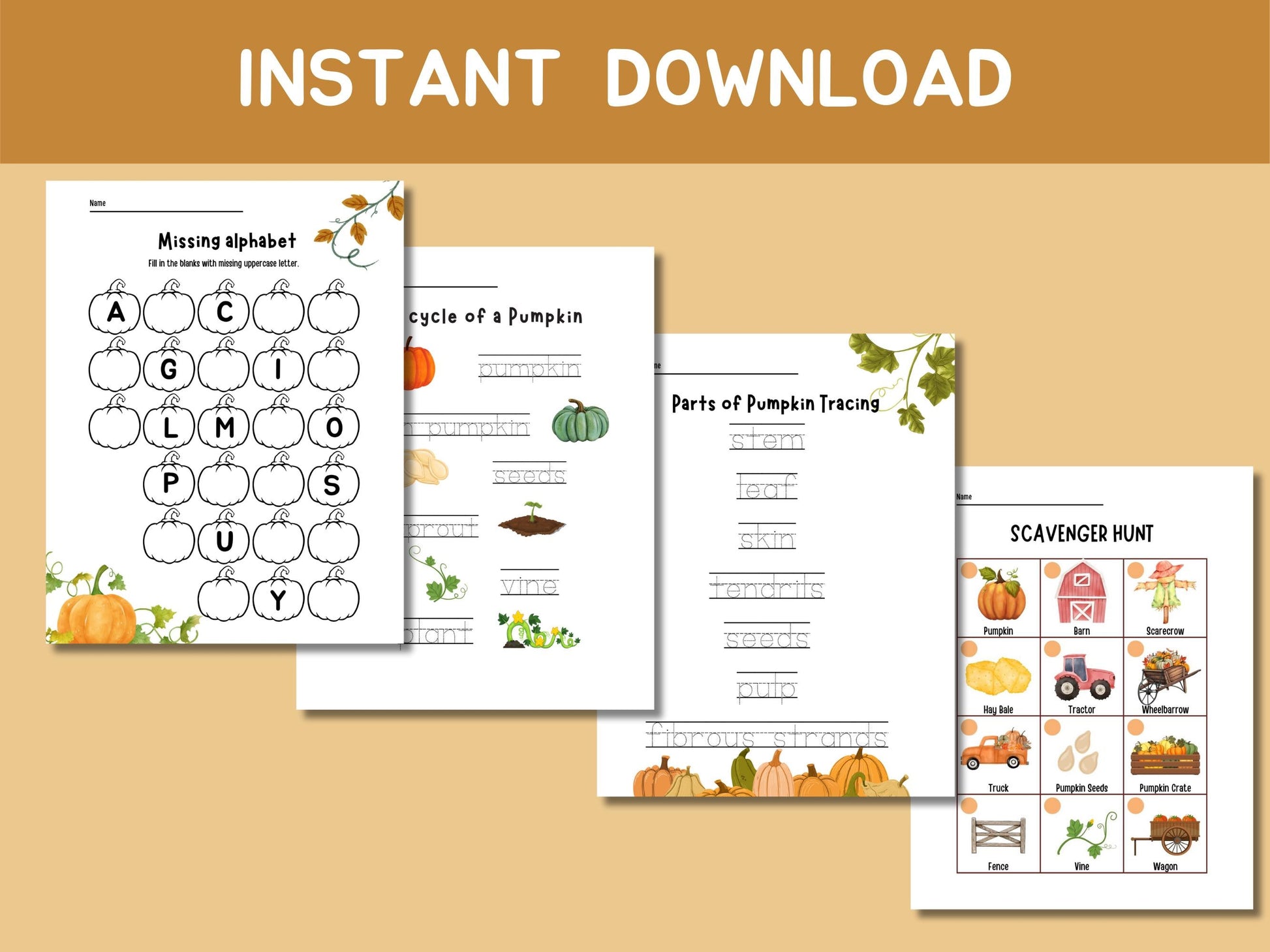 Pumpkin Unit Study, Educational Activities for Preschool, Science, Life Cycle, Anatomy, Homeschool, Montessori,Fall worksheet