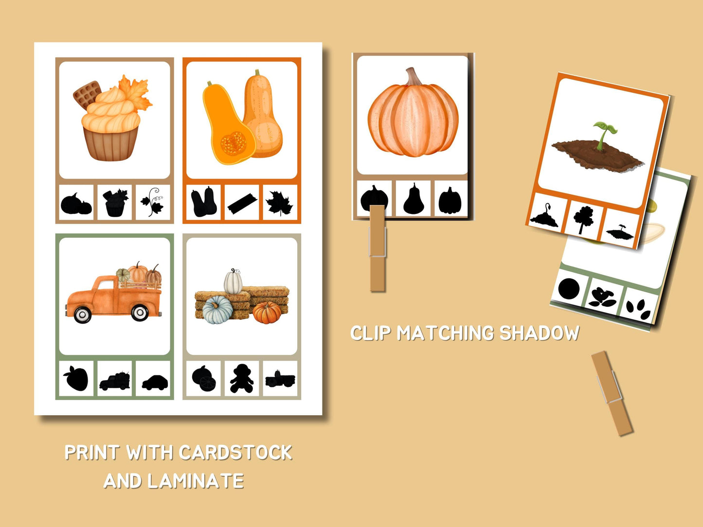 Pumpkin Unit Study, Educational Activities for Preschool, Science, Life Cycle, Anatomy, Homeschool, Montessori,Fall worksheet