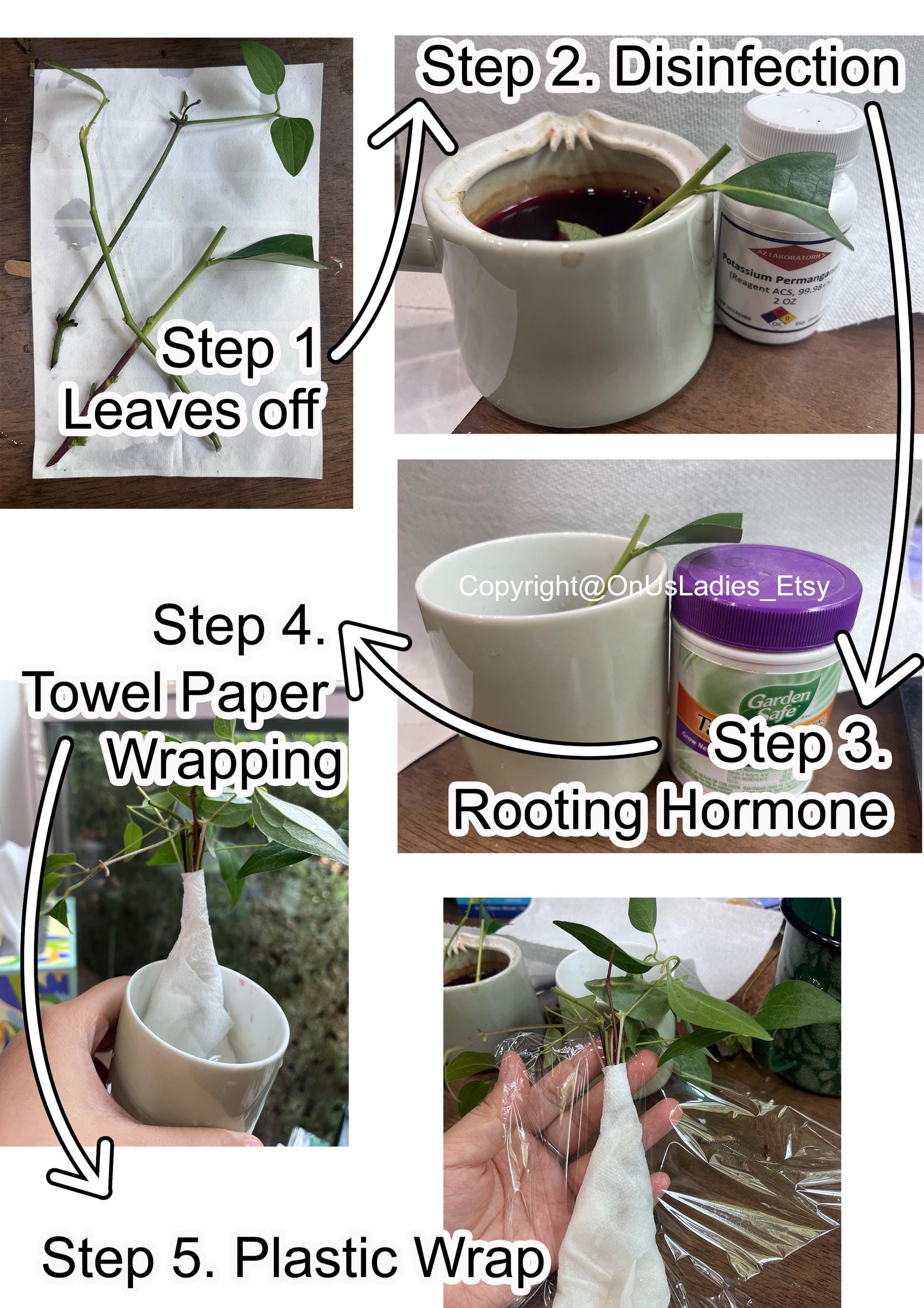 Grafting Cutting 3 pieces | Super Challenging | Fuyu Persimmon Tree Plant Edible Fruit
