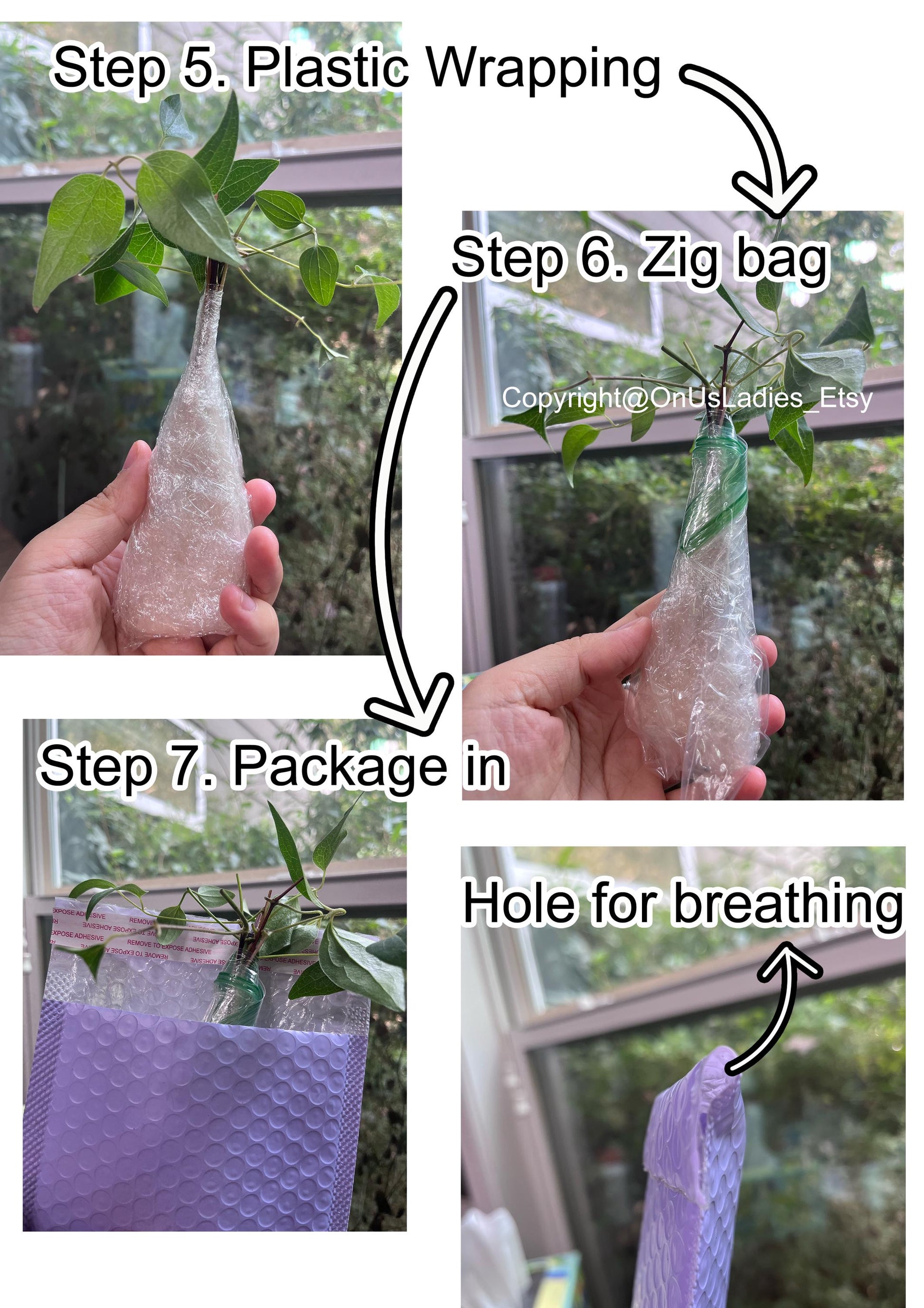 Grafting Cutting 3 pieces | Super Challenging | Fuyu Persimmon Tree Plant Edible Fruit