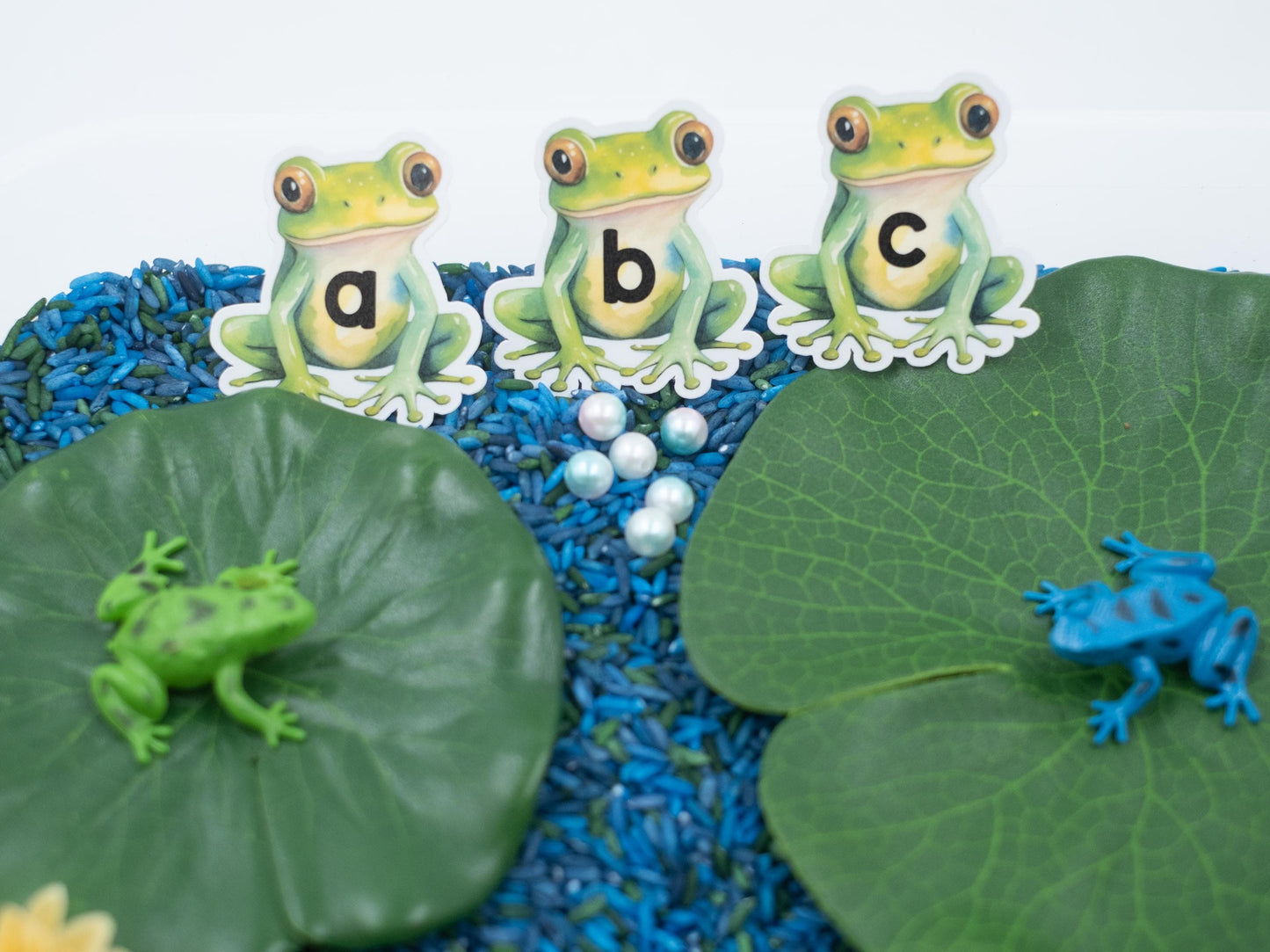 Frog Pond Sensory Bin: ABC Learning Toy