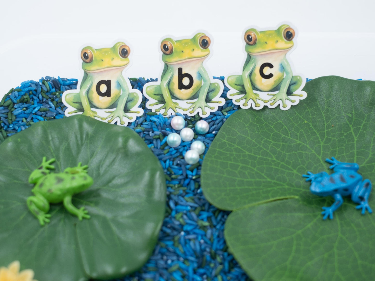 Frog Pond Sensory Bin: ABC Learning Toy