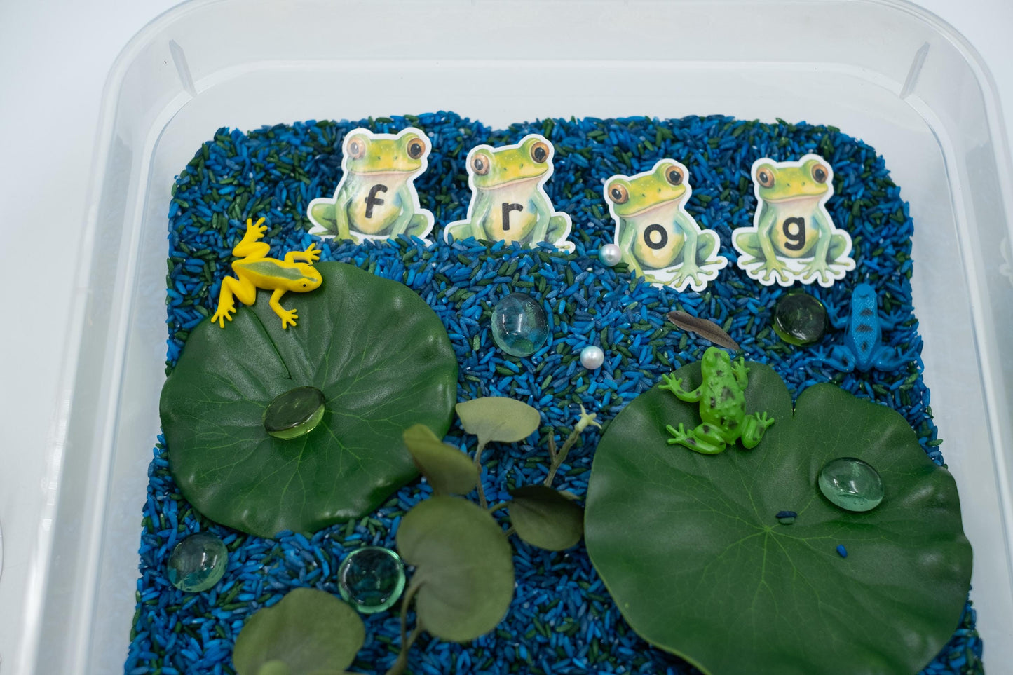 Frog Pond Sensory Bin: ABC Learning Toy