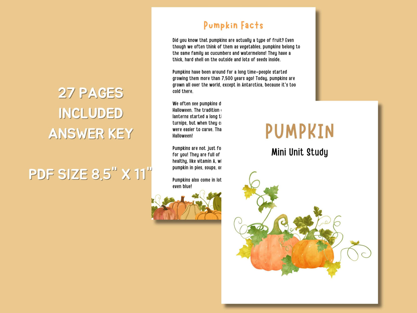 Pumpkin Unit Study, Educational Activities for Preschool, Science, Life Cycle, Anatomy, Homeschool, Montessori,Fall worksheet