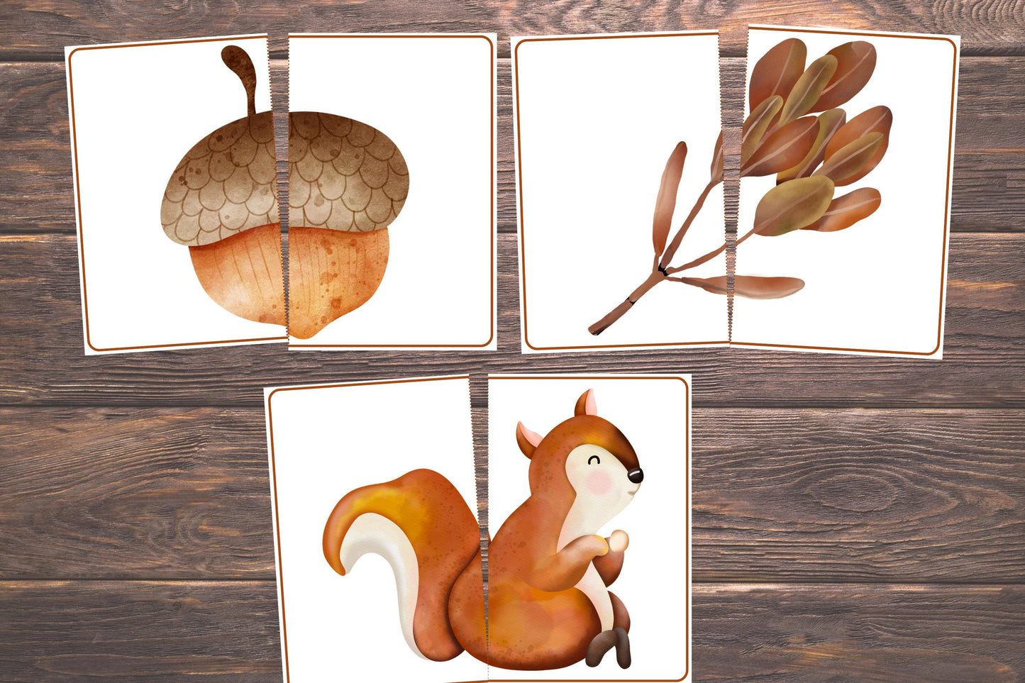 Fall Matching Toddler Activity,Autumn Matching, Montessori, Homeschool Resource, Pumpkins, Acorns, Woodland Creatures