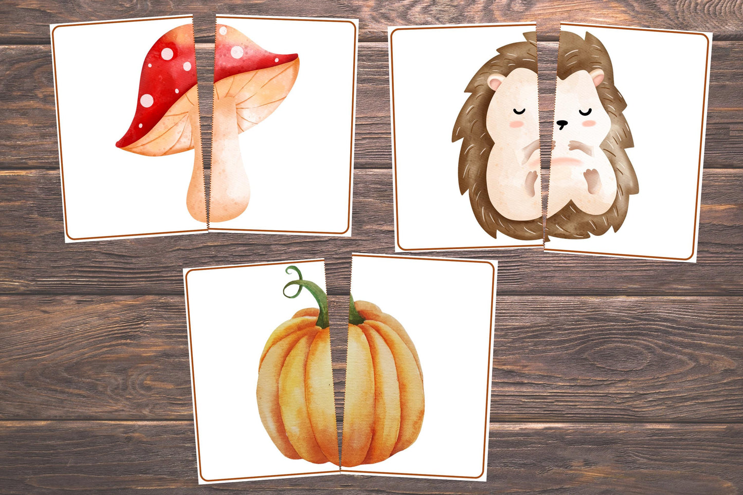 Fall Matching Toddler Activity,Autumn Matching, Montessori, Homeschool Resource, Pumpkins, Acorns, Woodland Creatures