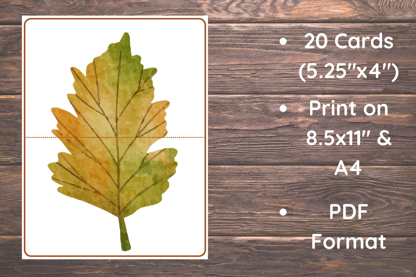 Fall Matching Toddler Activity,Autumn Matching, Montessori, Homeschool Resource, Pumpkins, Acorns, Woodland Creatures
