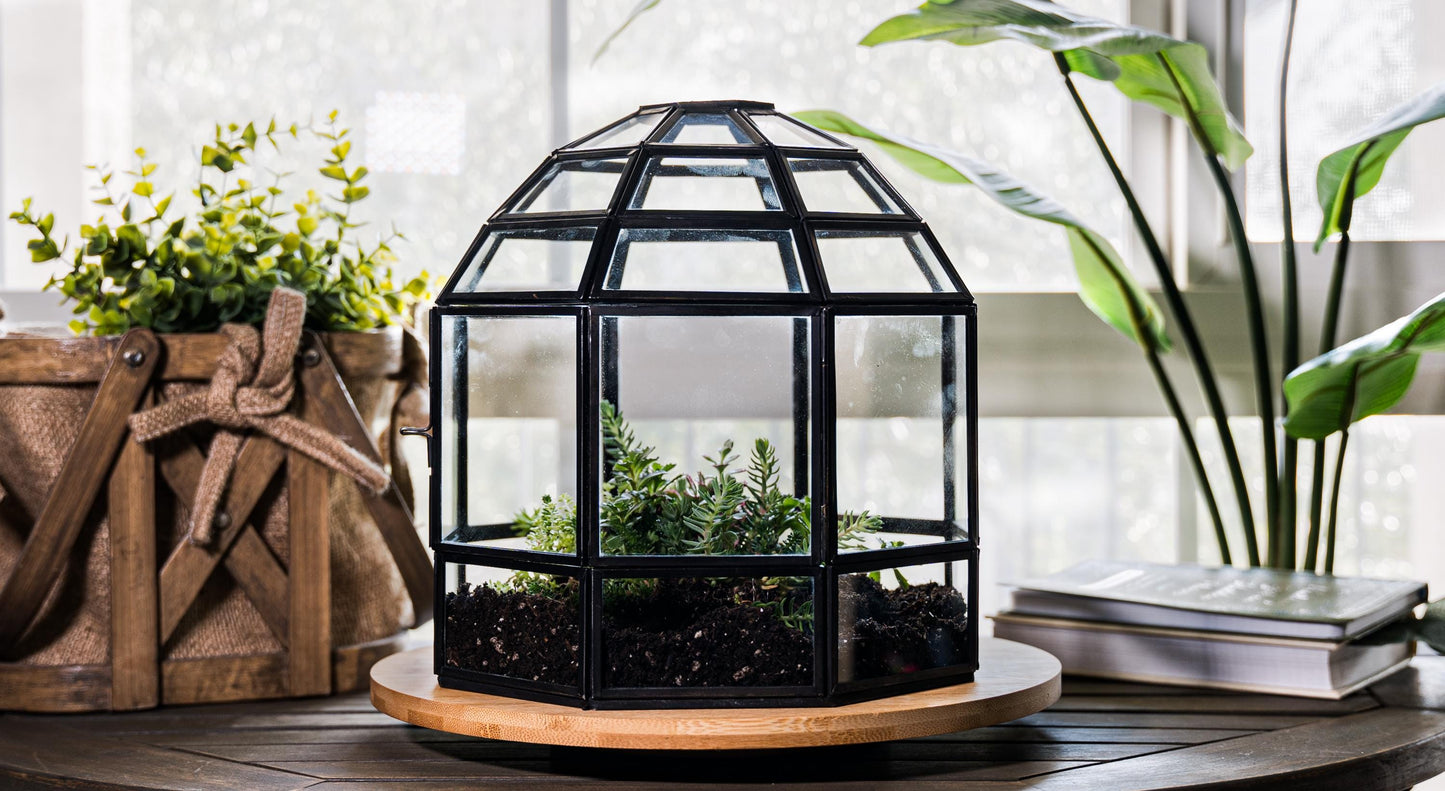 Urban Born Large Terrarium Birdcage, Glass and Metal Indoor Display Case, Unique Gift Idea, Succulent Container, Orchid Planter, Home Decor.