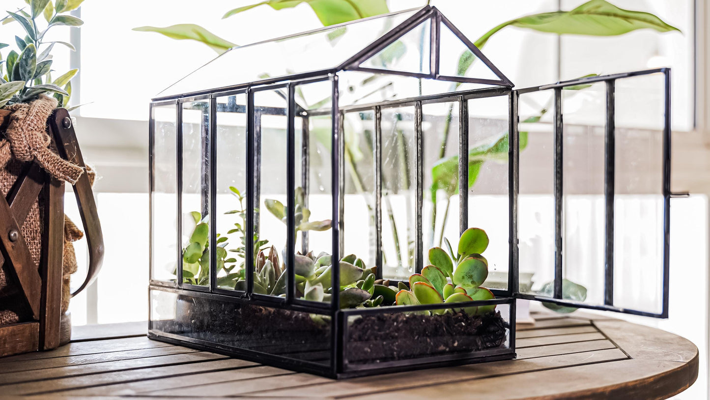Urban Born Large Terrarium Greenhouse, Glass Metal, Indoor Display Case, Unique Gift Idea, Succulent Container, Orchid Planter, Home Decor.
