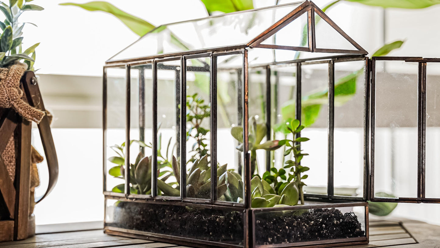 Urban Born Large Terrarium Greenhouse, Glass Metal, Indoor Display Case, Unique Gift Idea, Succulent Container, Orchid Planter, Home Decor.