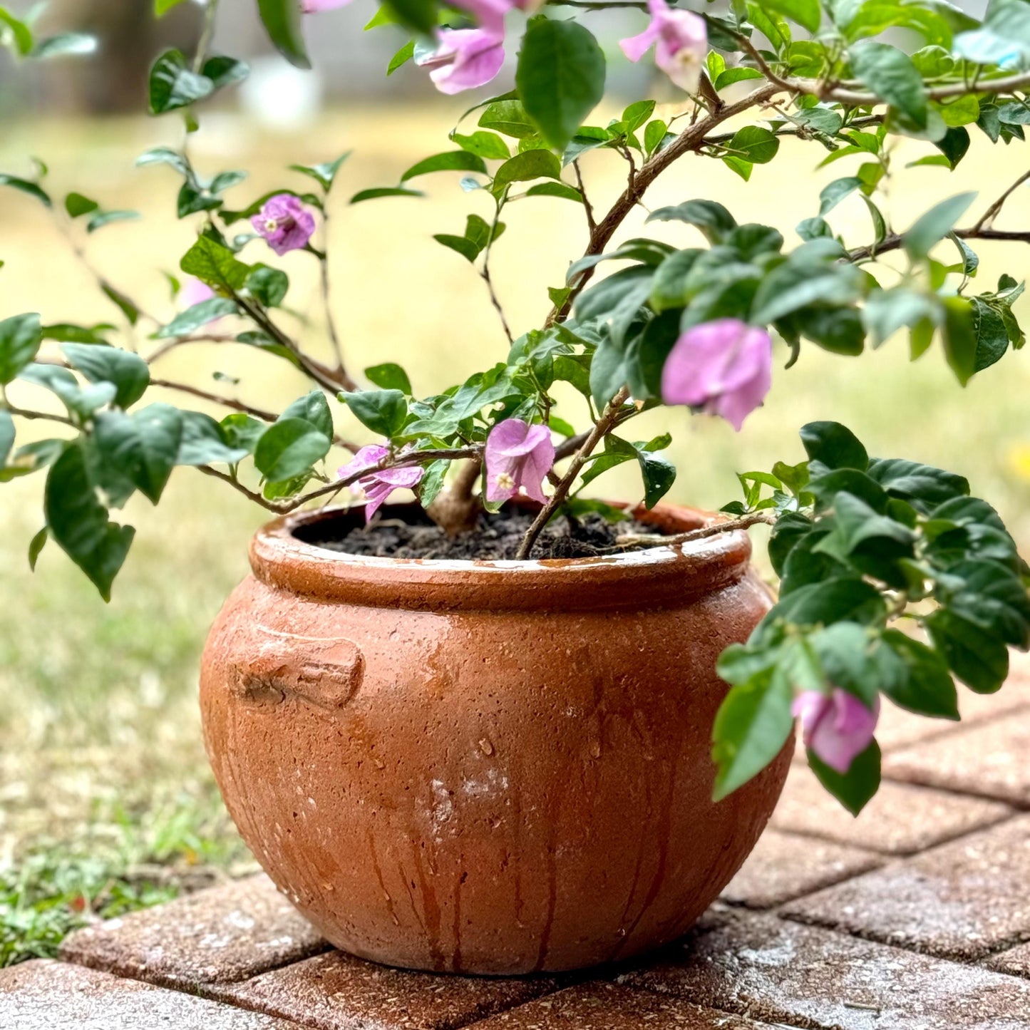 Handmade Concrete Vase: Weather Resistant Indoor Outdoor Planter (10 Inches)