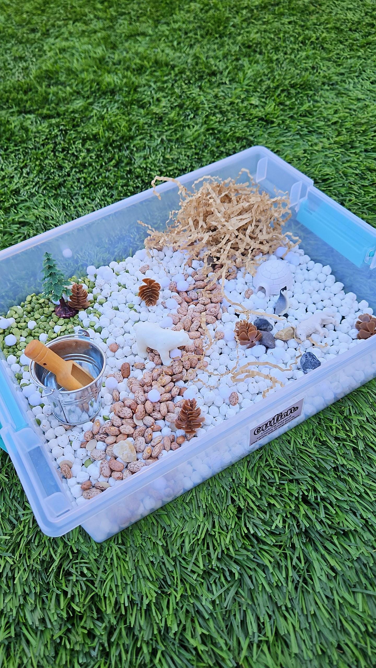 Arctic Sensory Bin, Snow Sensory Bin, Winter Sensory Activity, Sensory Bin, Kids Activity, Montessori, Outdoors Sensory Kit