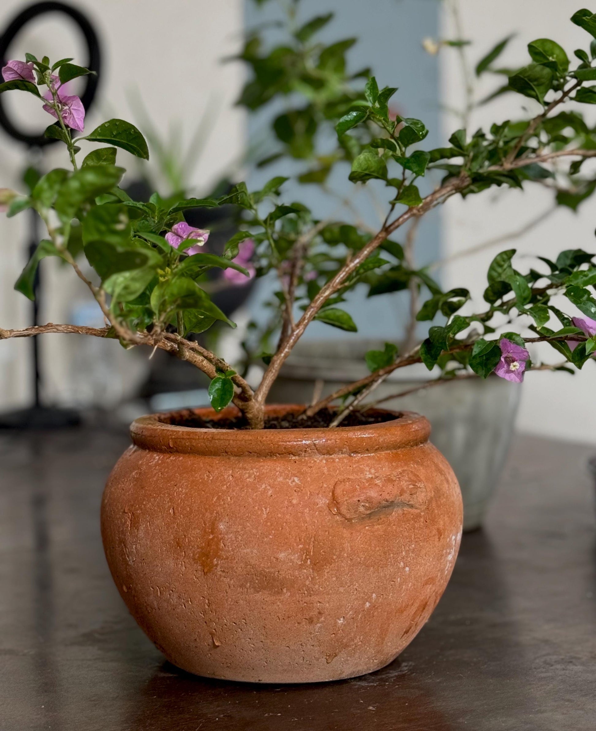 Handmade Concrete Vase: Weather Resistant Indoor Outdoor Planter (10 Inches)