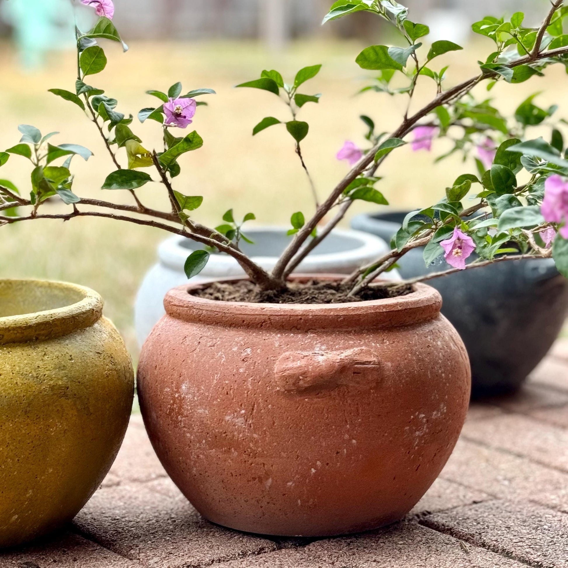 Handmade Concrete Vase: Weather Resistant Indoor Outdoor Planter (10 Inches)