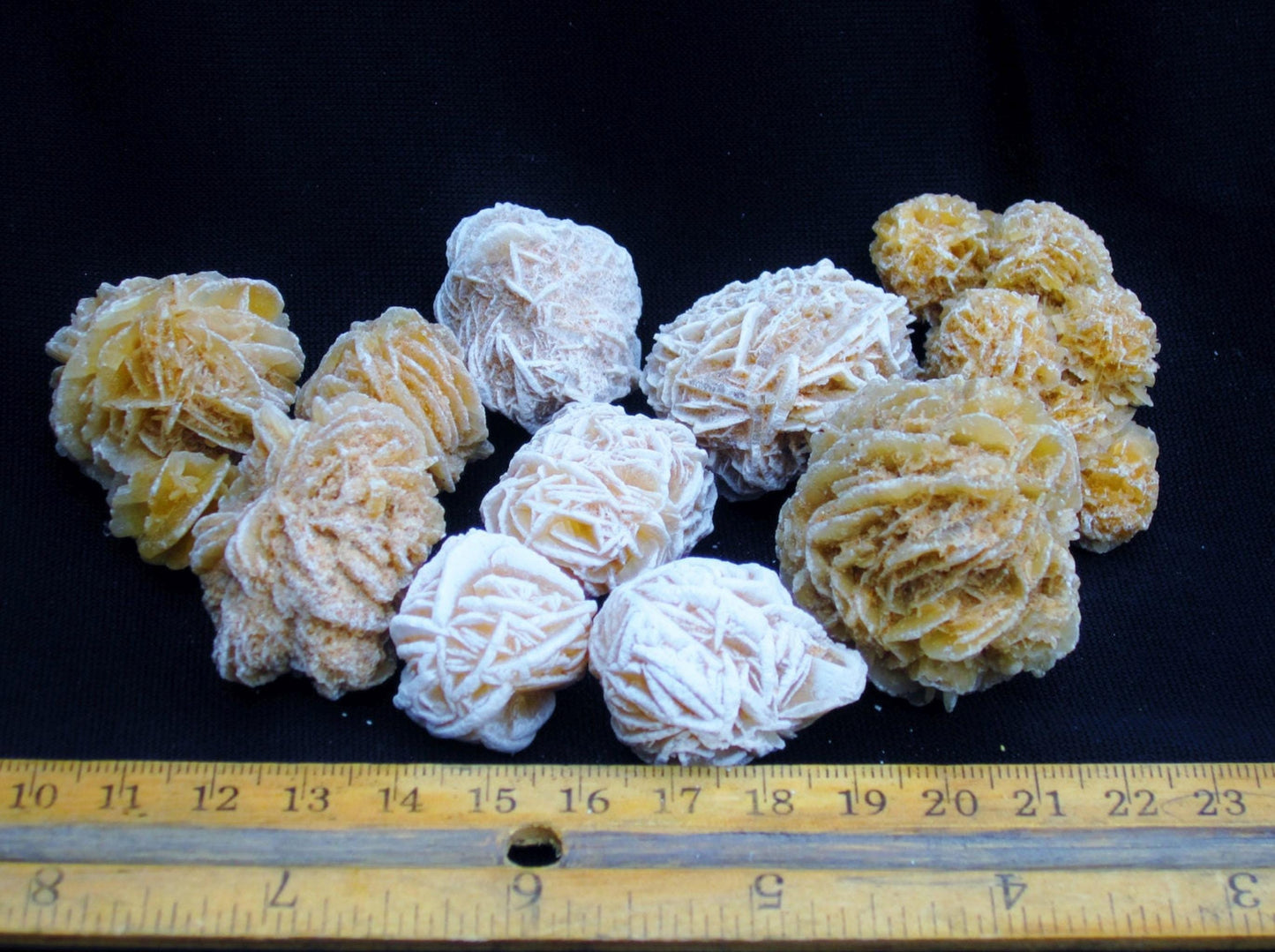 Bulk DESERT ROSES * Natural Selenite Gypsum Crystal Mineral Stones * Choice of 1/2 or 1" Sizes * Mexico