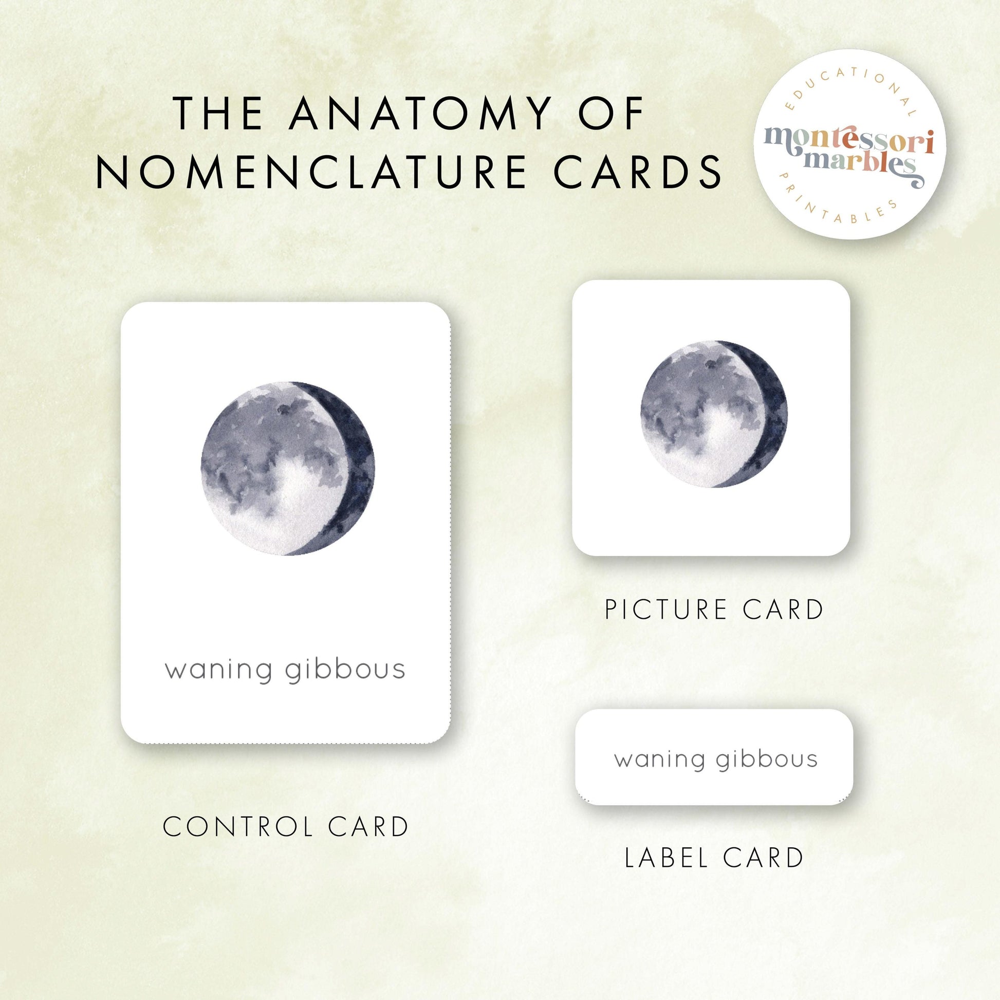 MEGA BUNDLE Montessori Nomenclature Cards | Educational Vocabulary Cards | Preschool Kindergarten | 15 Themes