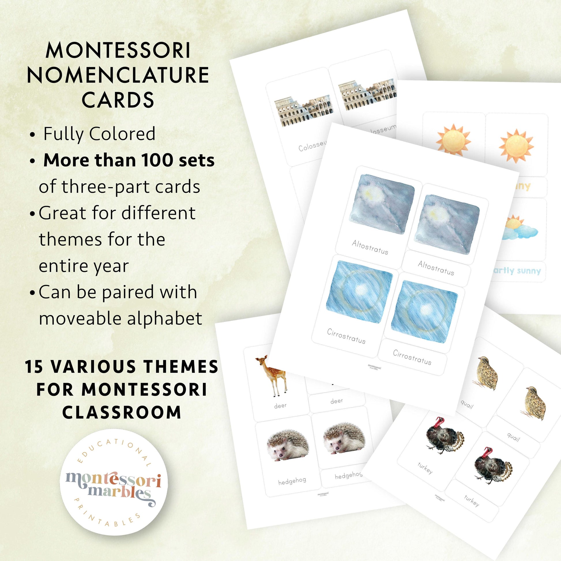 MEGA BUNDLE Montessori Nomenclature Cards | Educational Vocabulary Cards | Preschool Kindergarten | 15 Themes